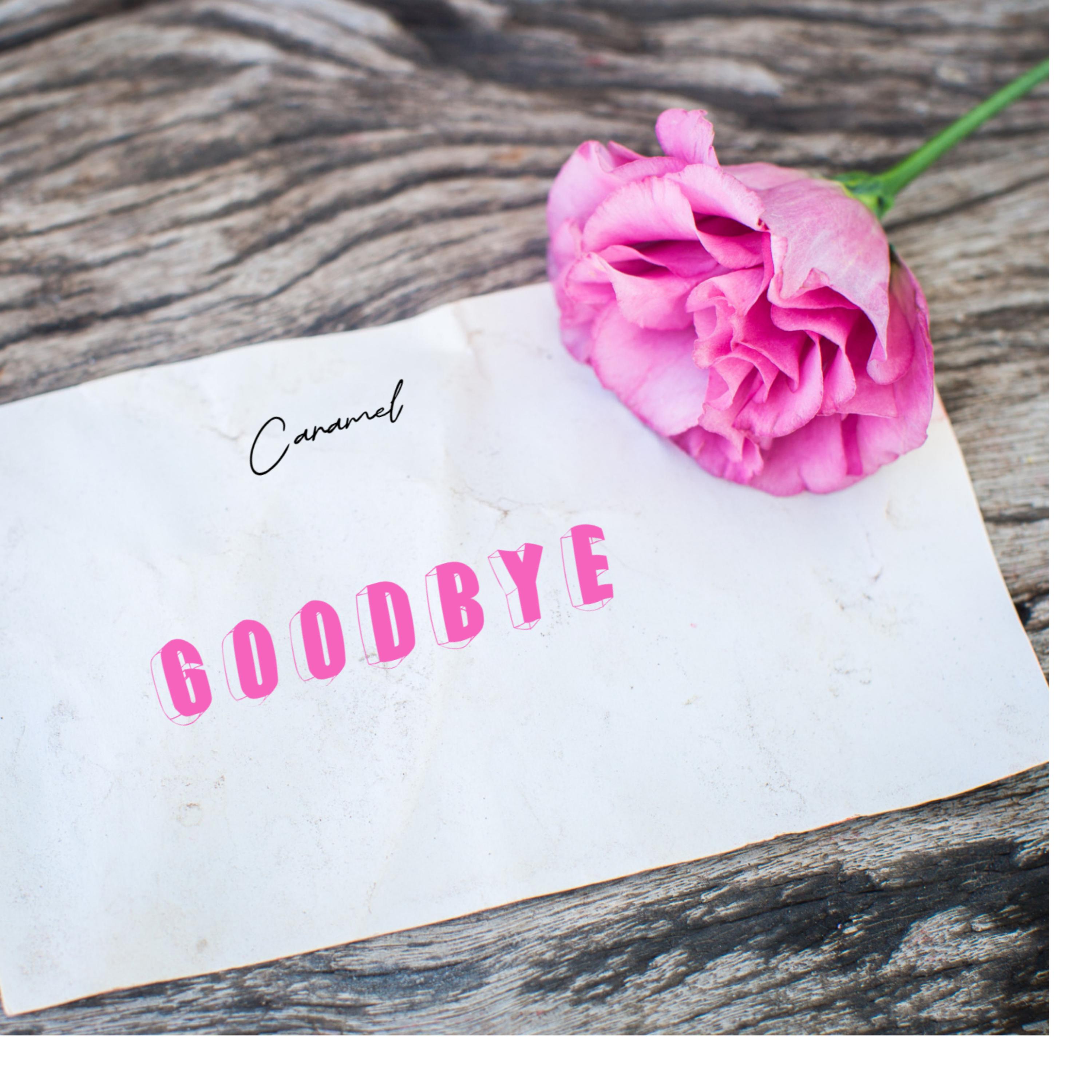 Goodbye artwork