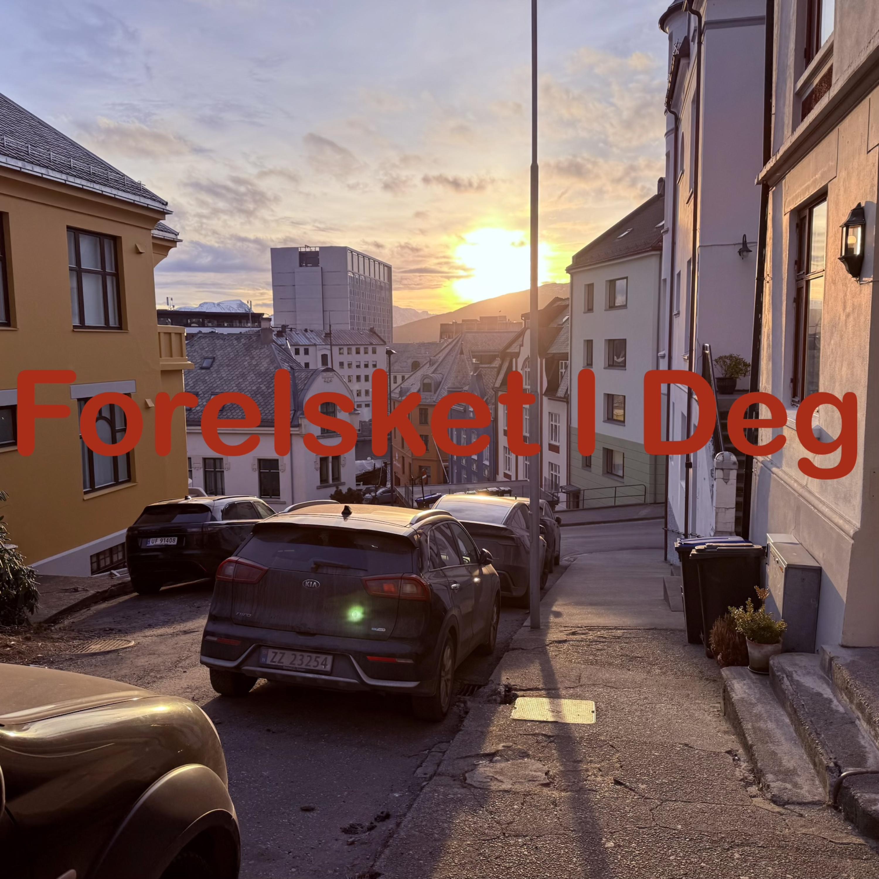 Forelsket I Deg artwork