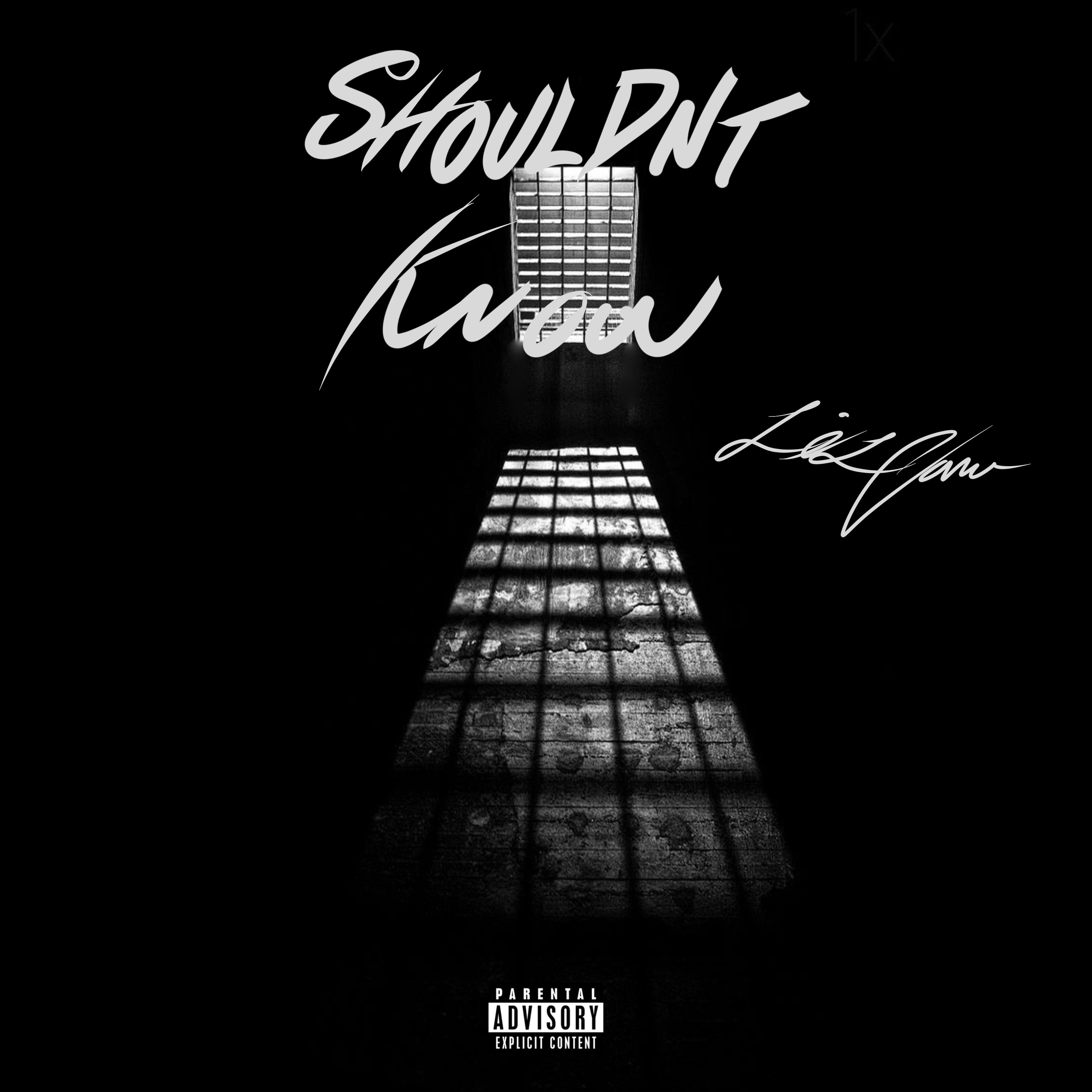 Shouldnt Know artwork