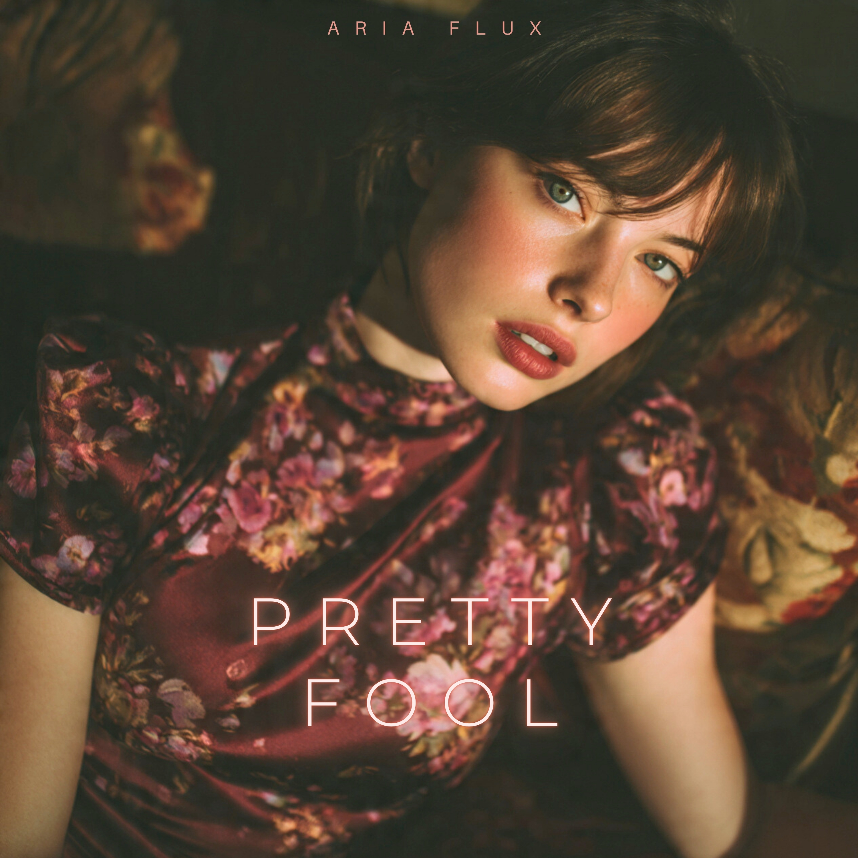 Pretty Fool artwork
