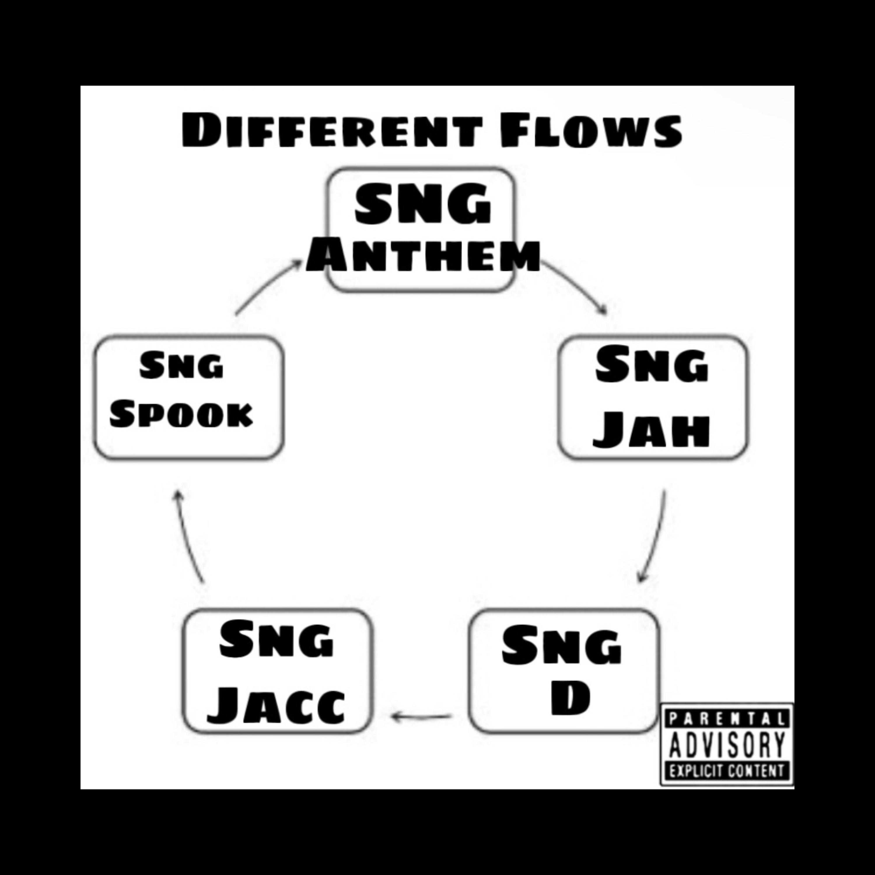 Different Flows (SNG ANTHEM) artwork
