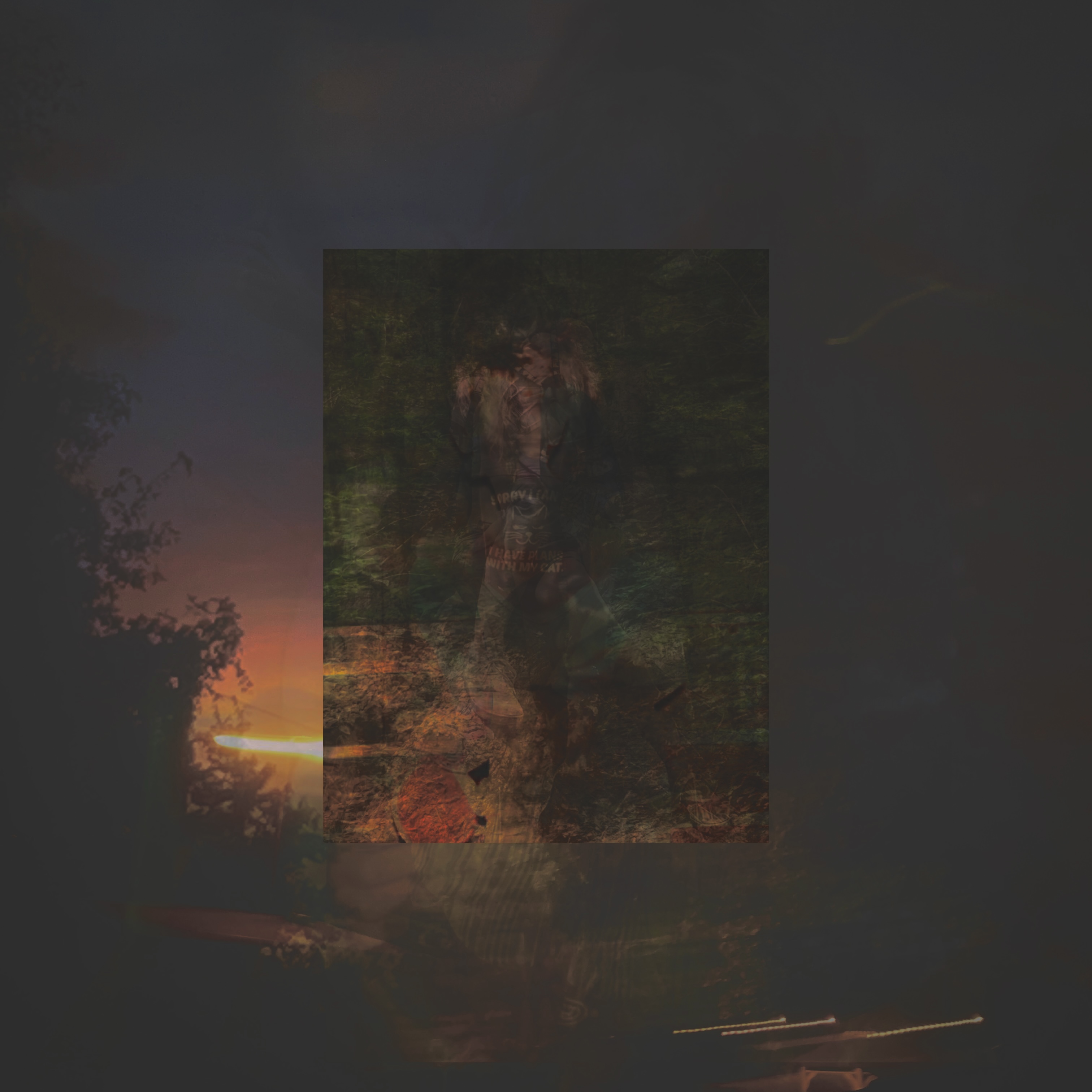 lost summer days artwork