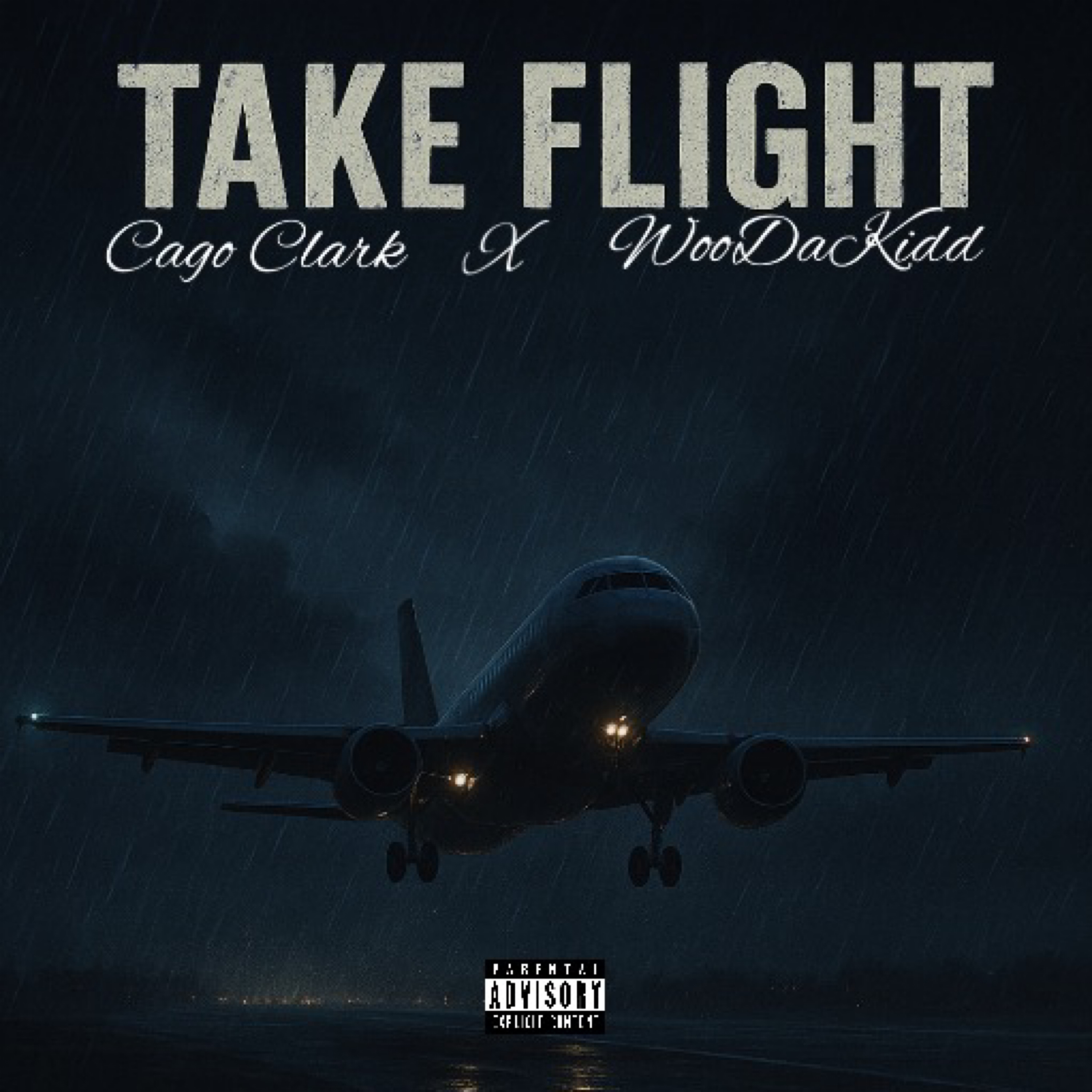 Take Flight artwork