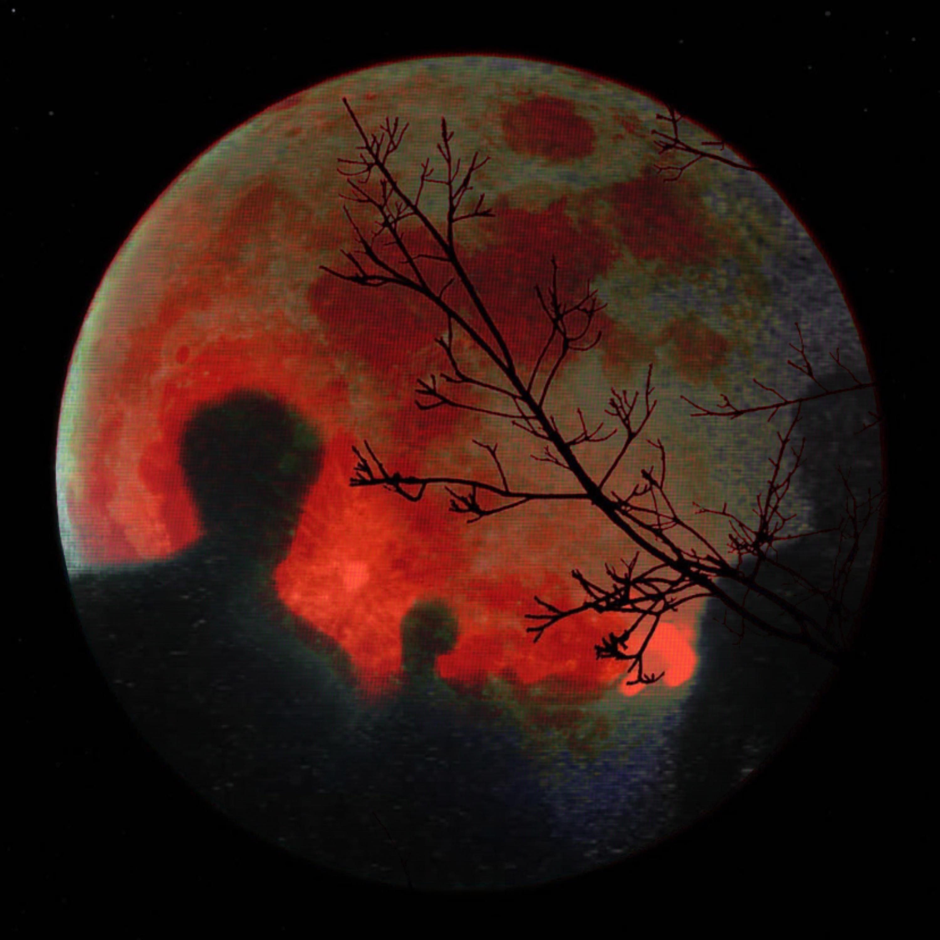 Mr. Moon, Where Were You? artwork