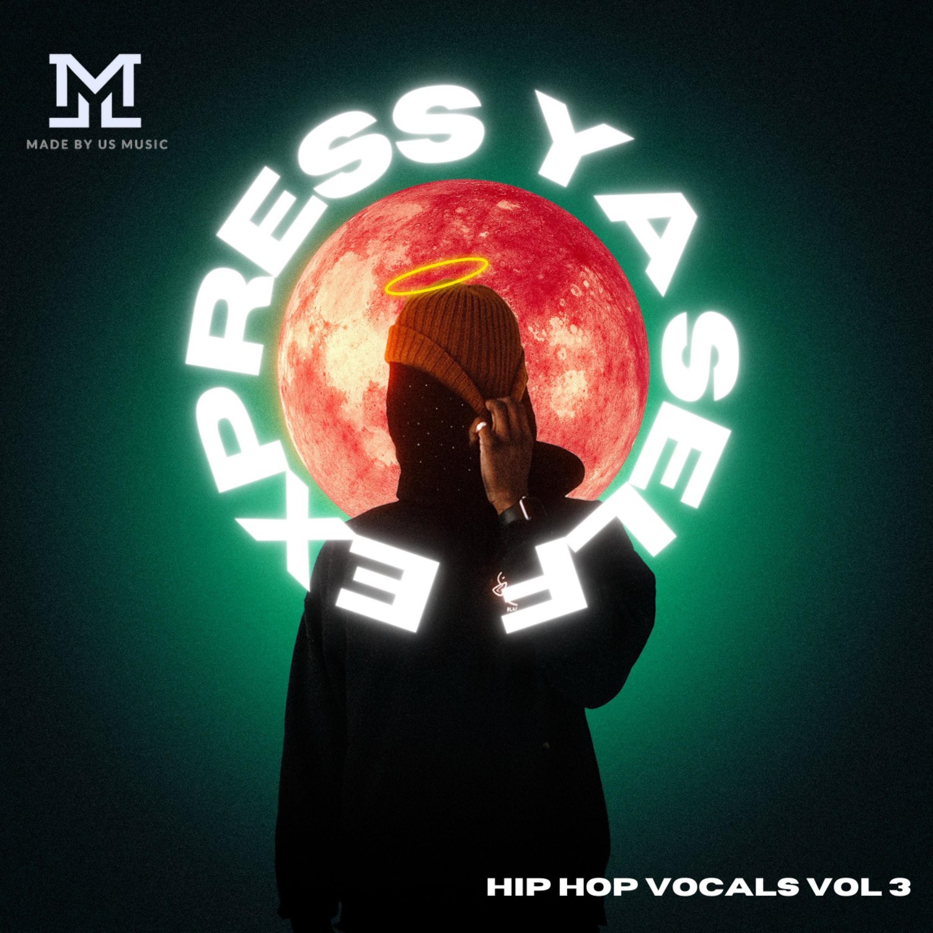 Express Ya Self Hip Hop Vocals Vol 3 artwork