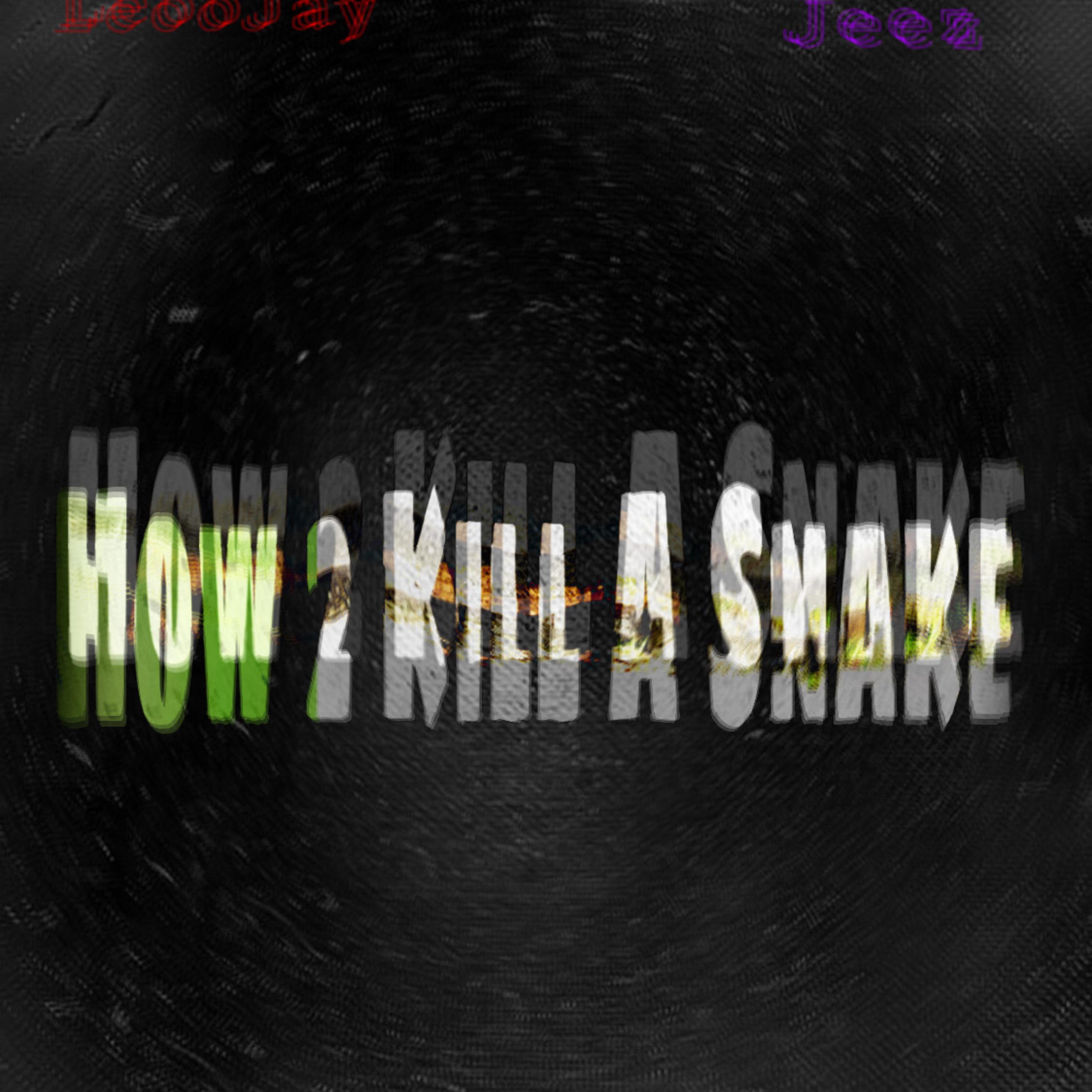 How 2 Kill A Snake artwork