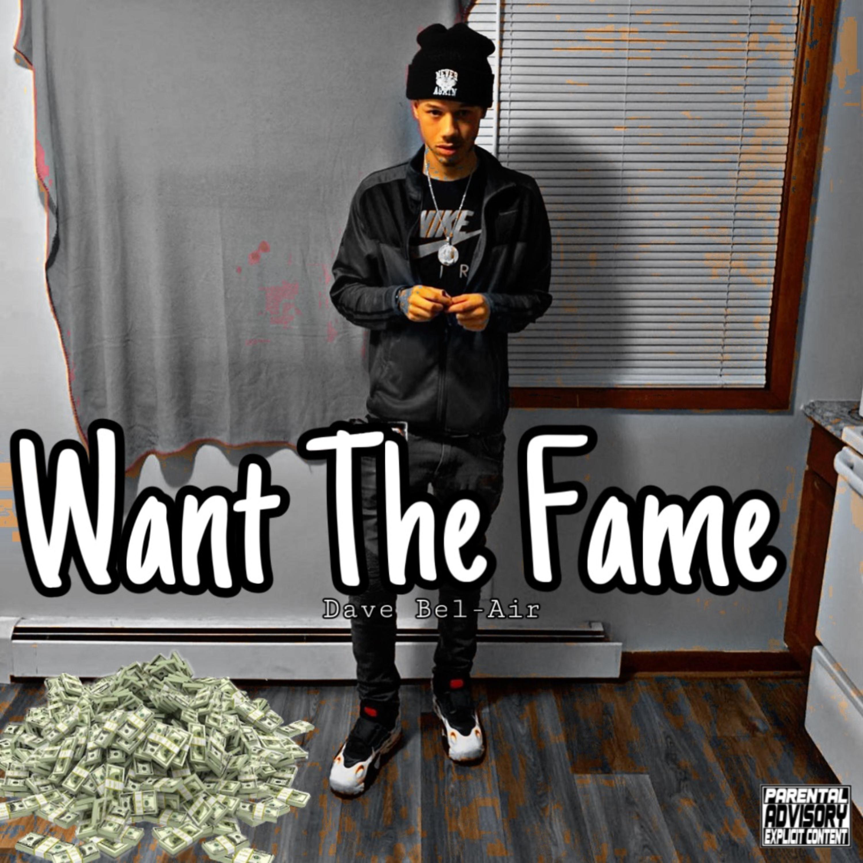 Want The Fame artwork