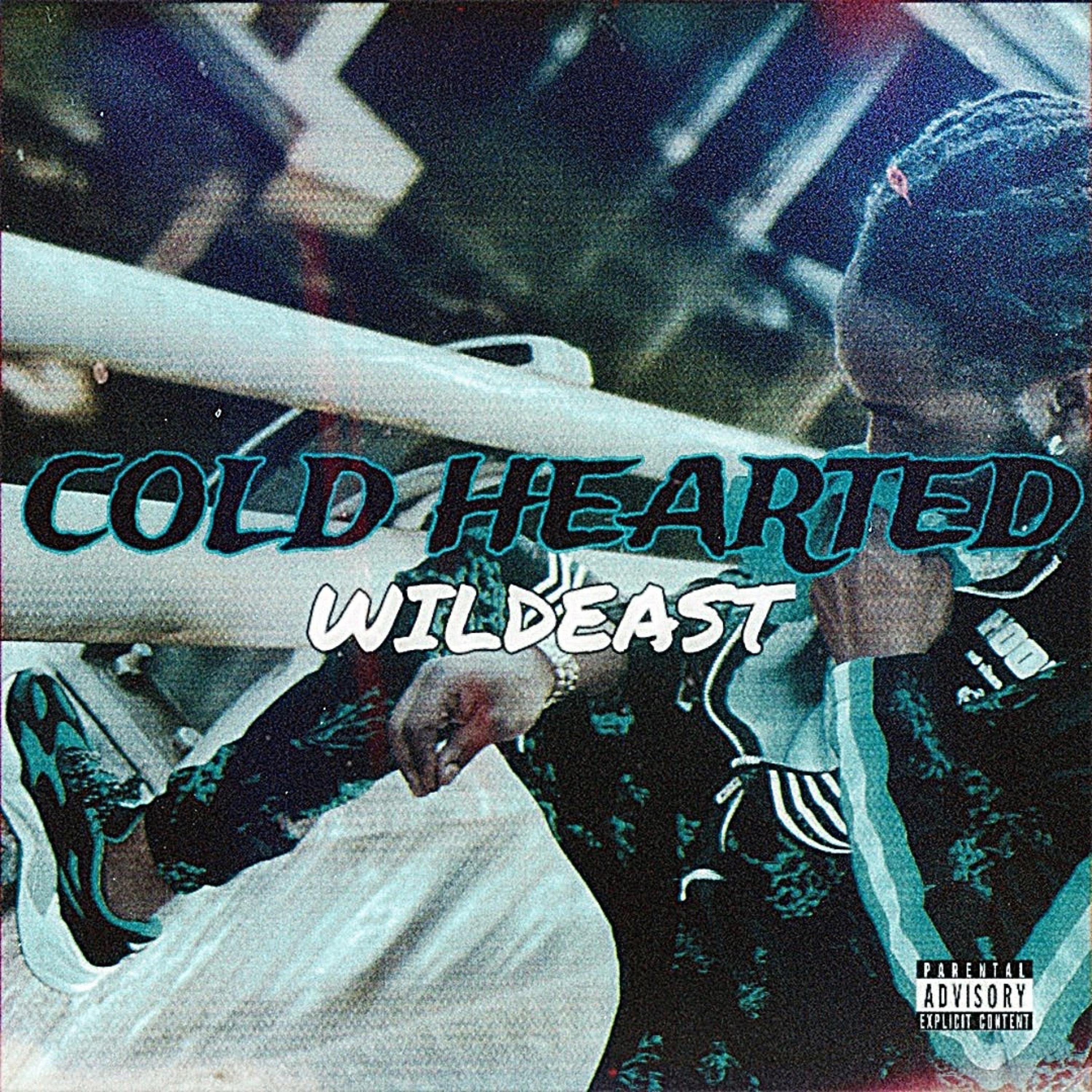 Cold Hearted by Wildeast cover art