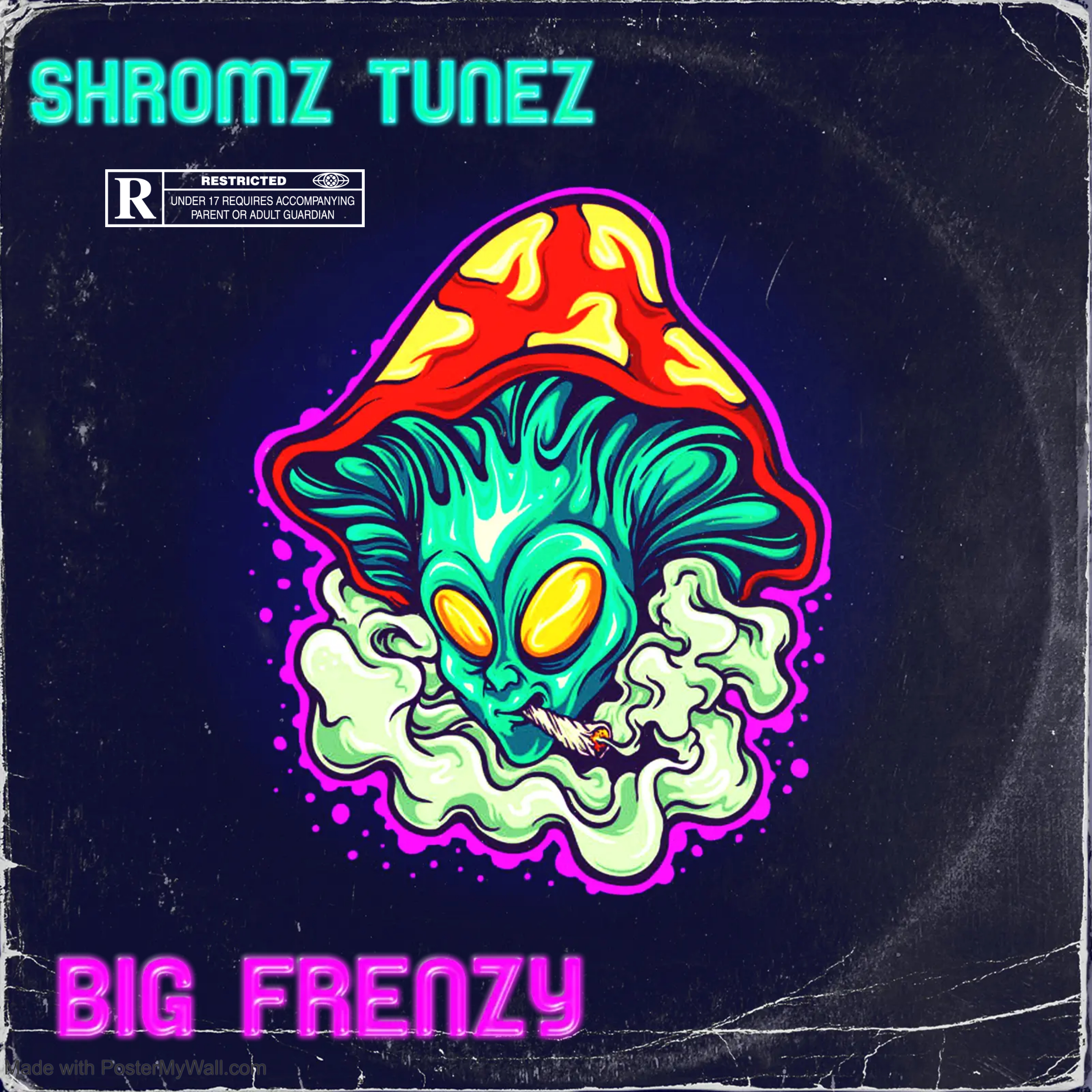 SHROOMZ MUSIC by BIGFRENZY cover art