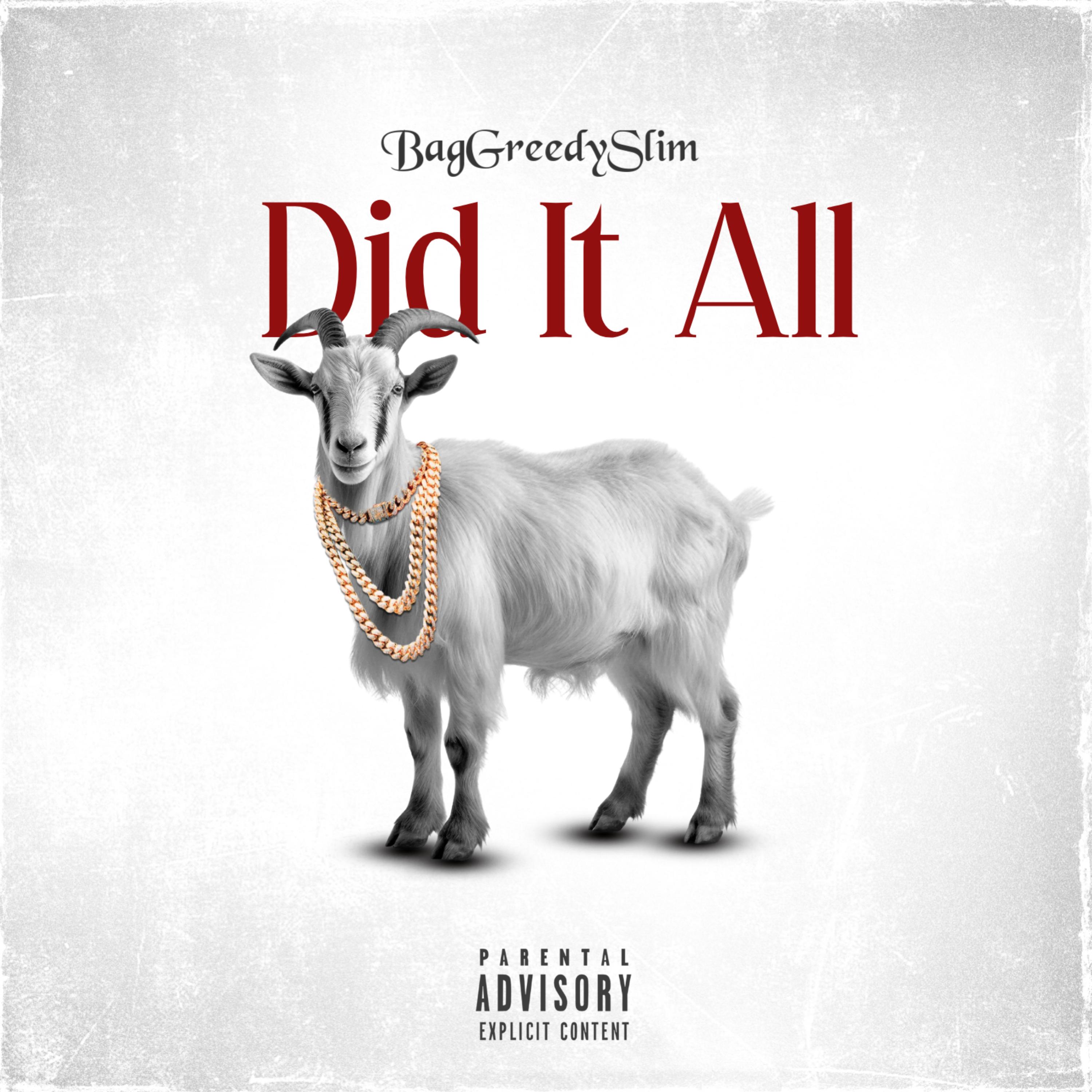 Did It All artwork