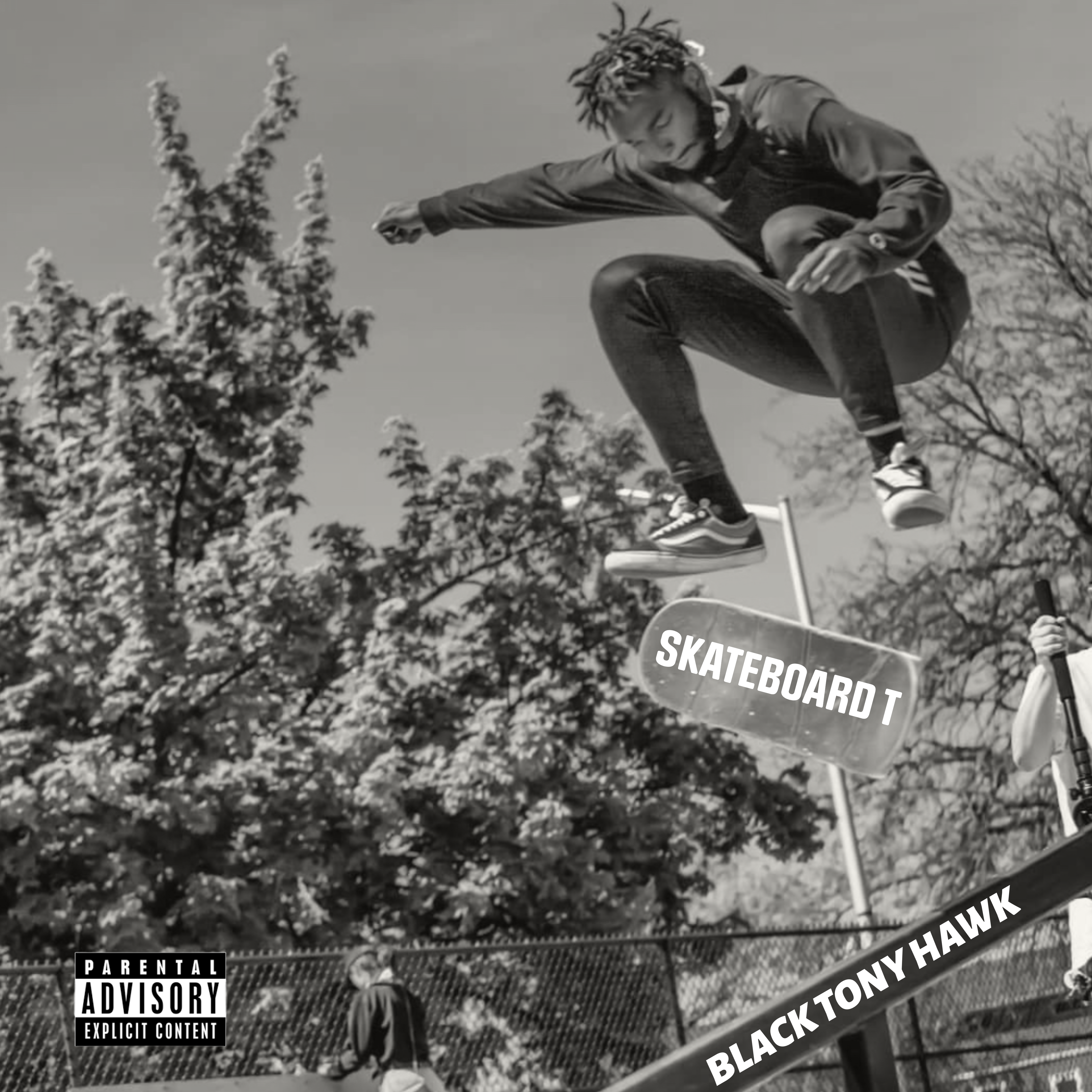 Black Tony Hawk artwork