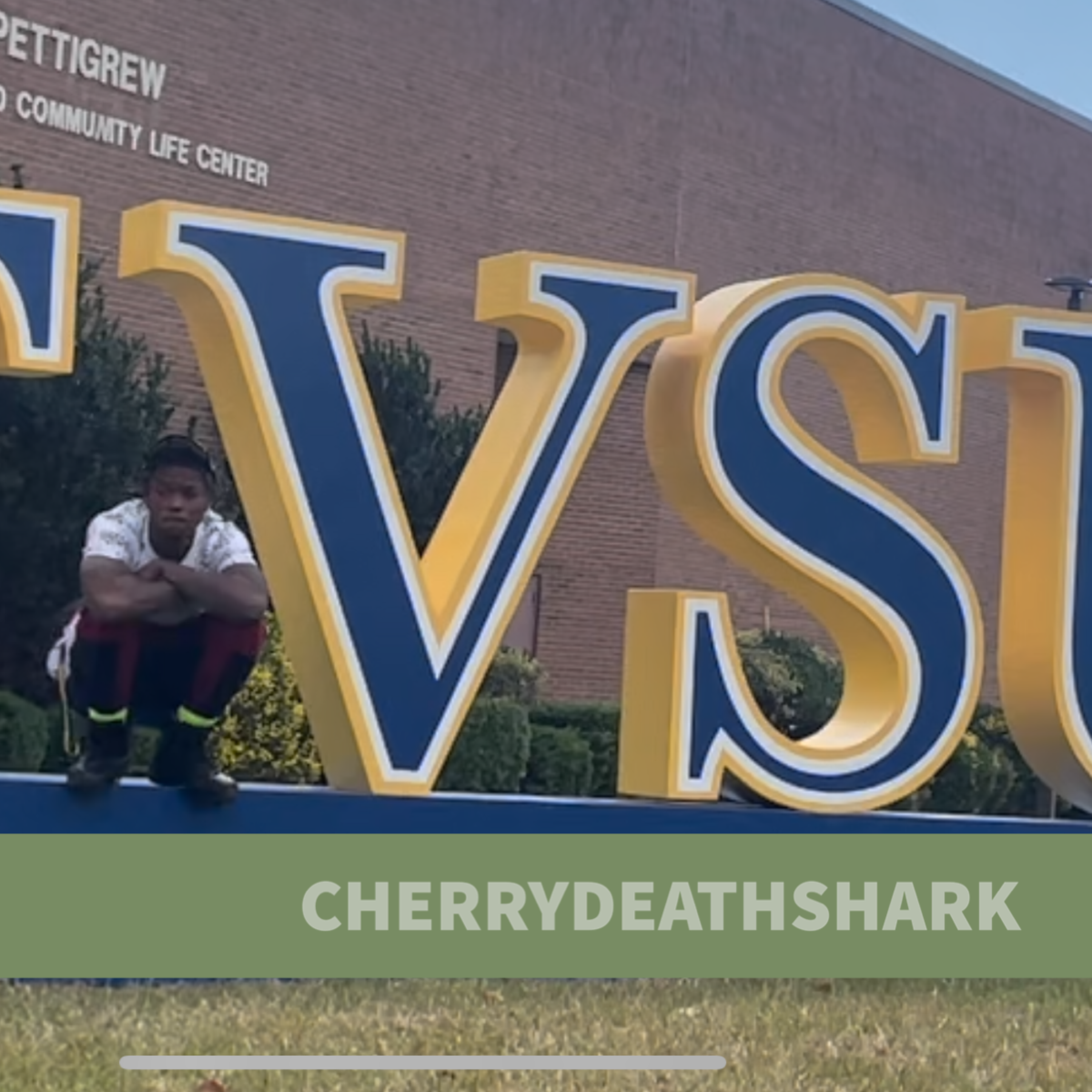 FVSU wildcat Anthem artwork