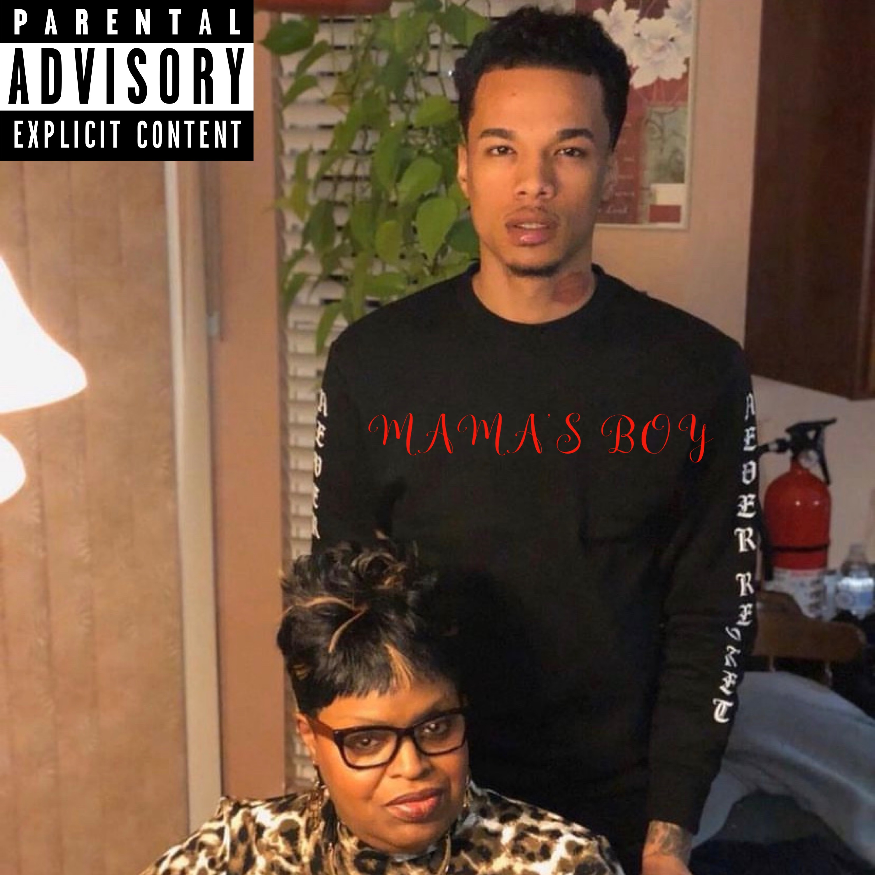 Mamas Boy artwork