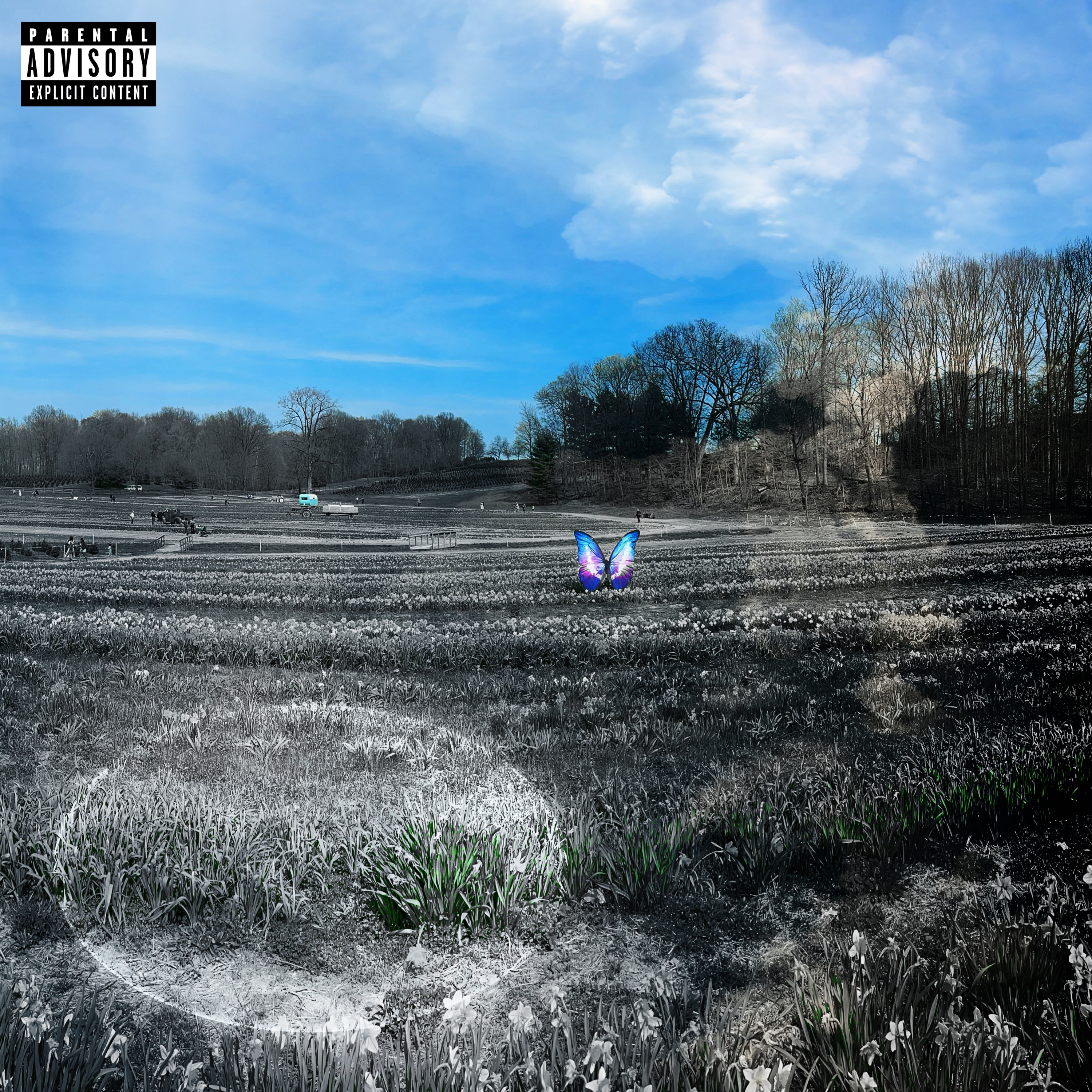 The Sky Is Falling artwork