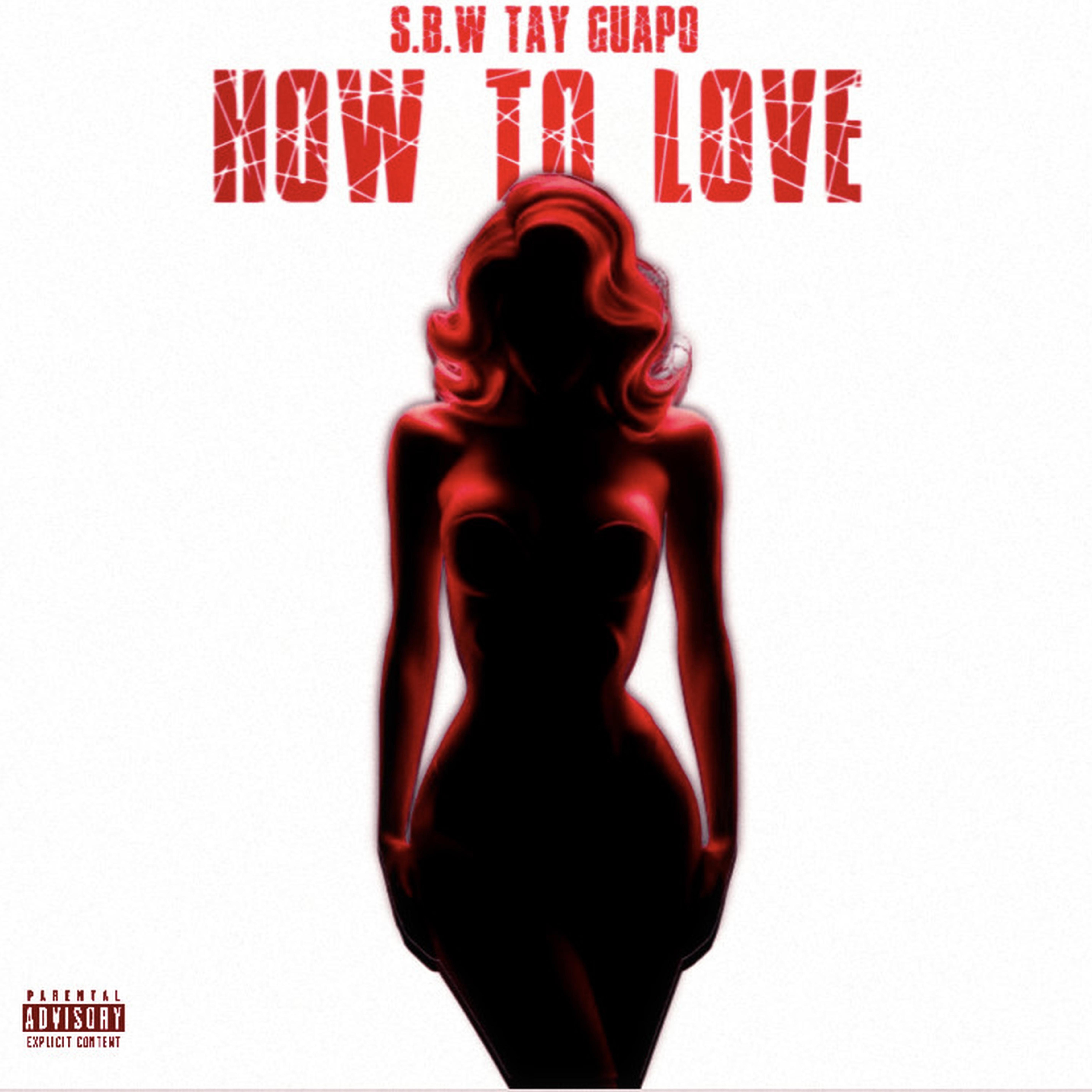 HOW TO LOVE artwork