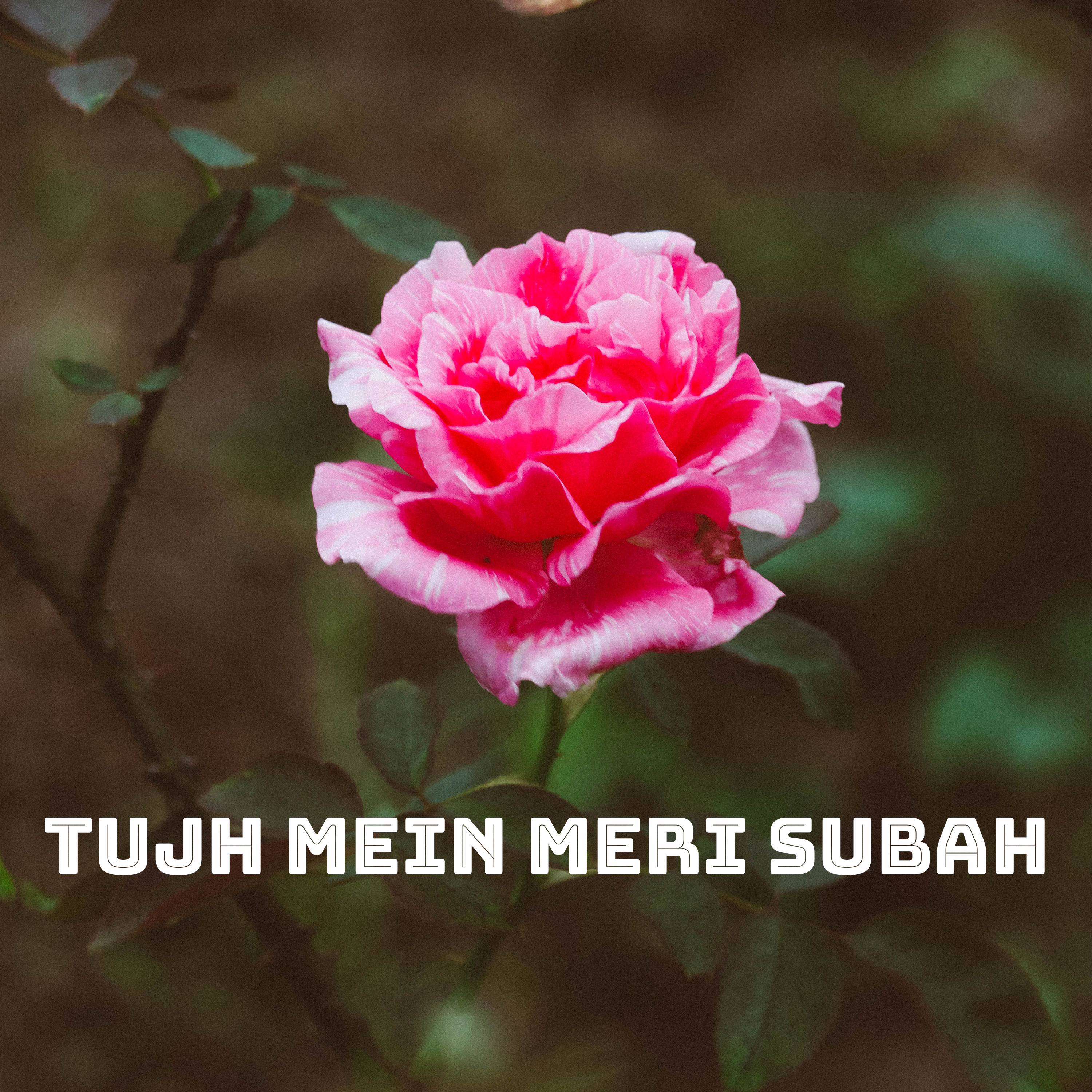 Tujh Mein Meri Subah by Ananya Roy Ishita cover art