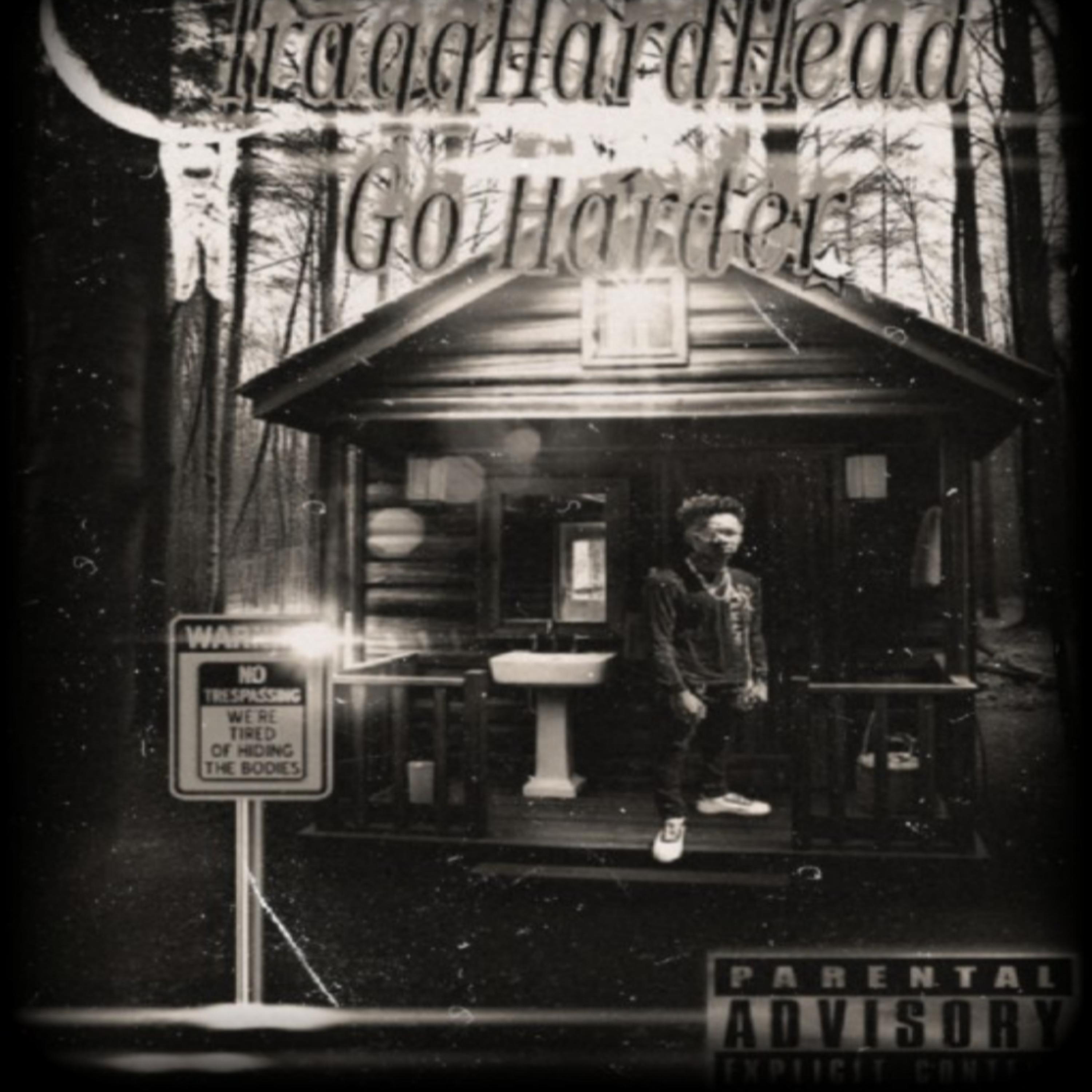 Go Harder artwork