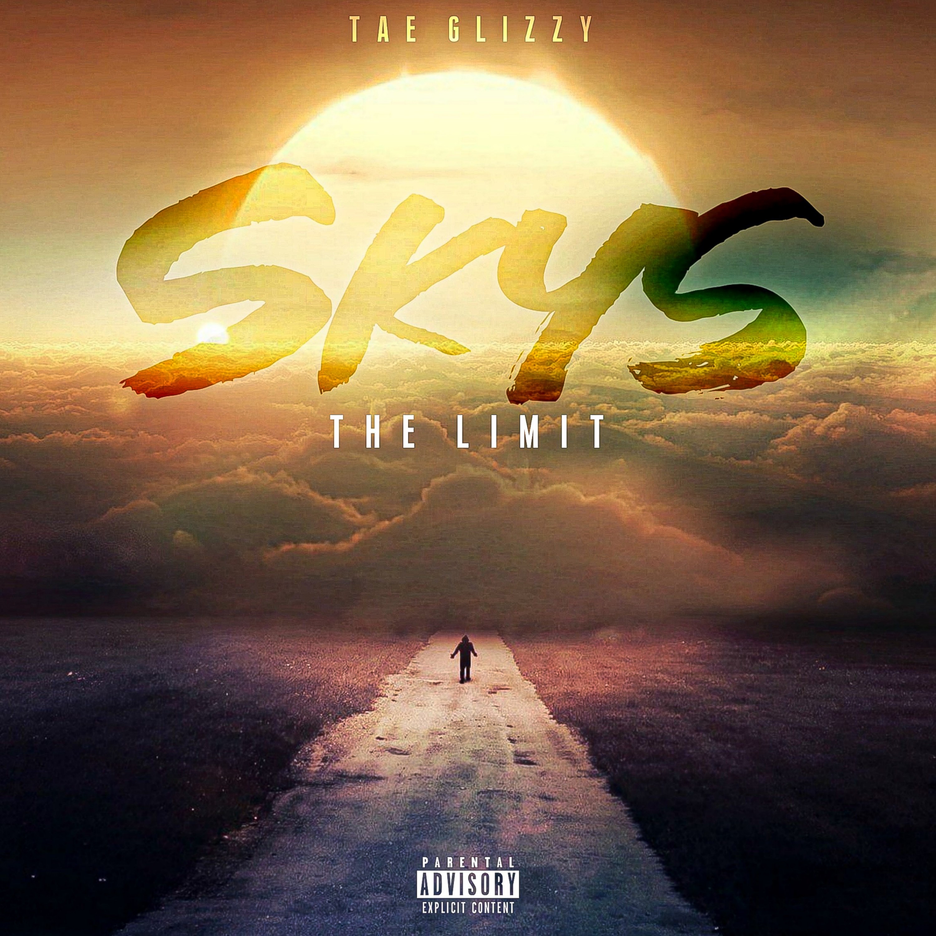Skys The Limit artwork