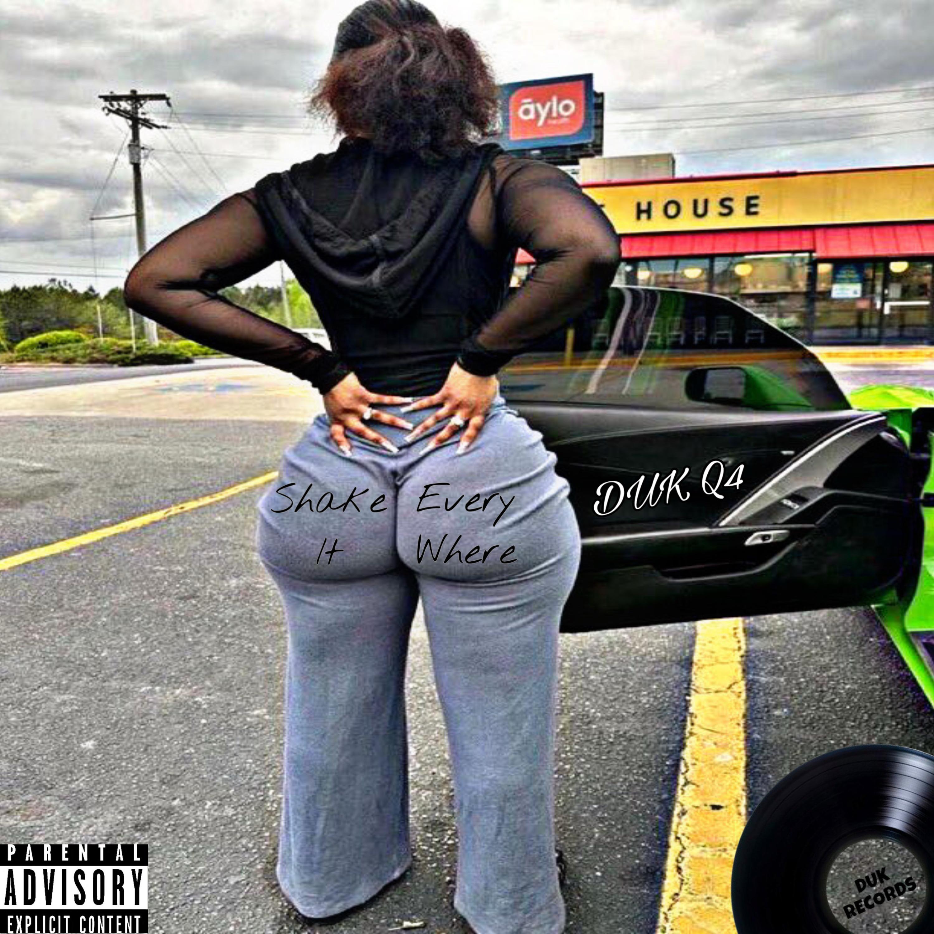 Shake It Everywhere artwork