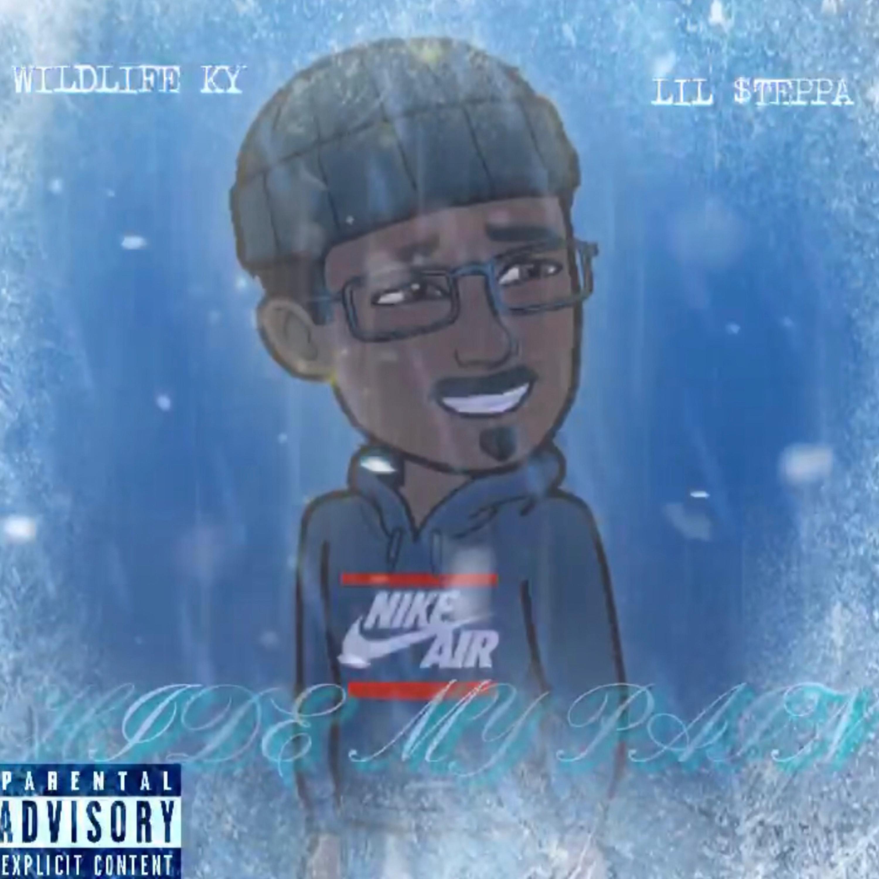 HIDE MY PAIN artwork
