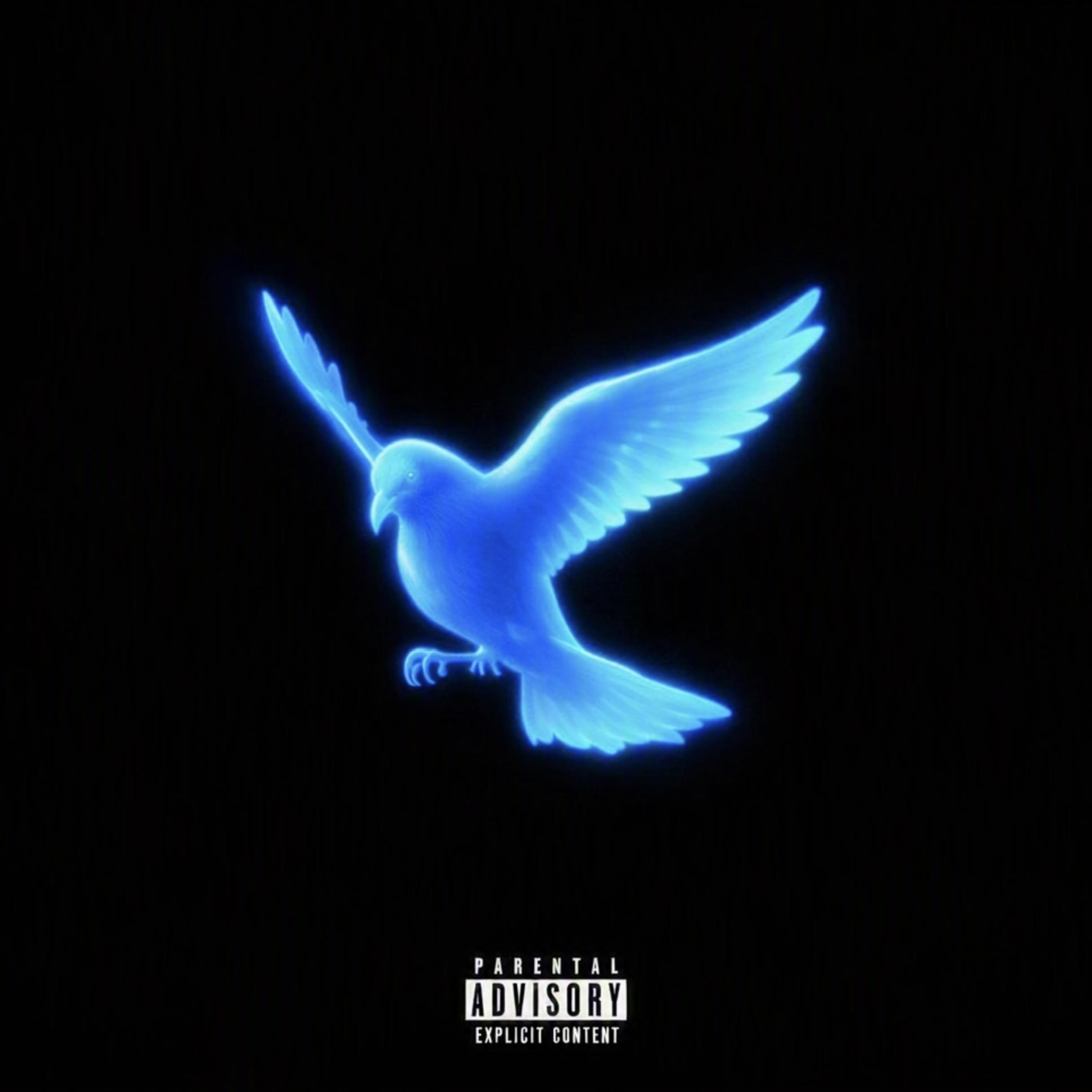 Blue Bird by JayTheProcess cover art
