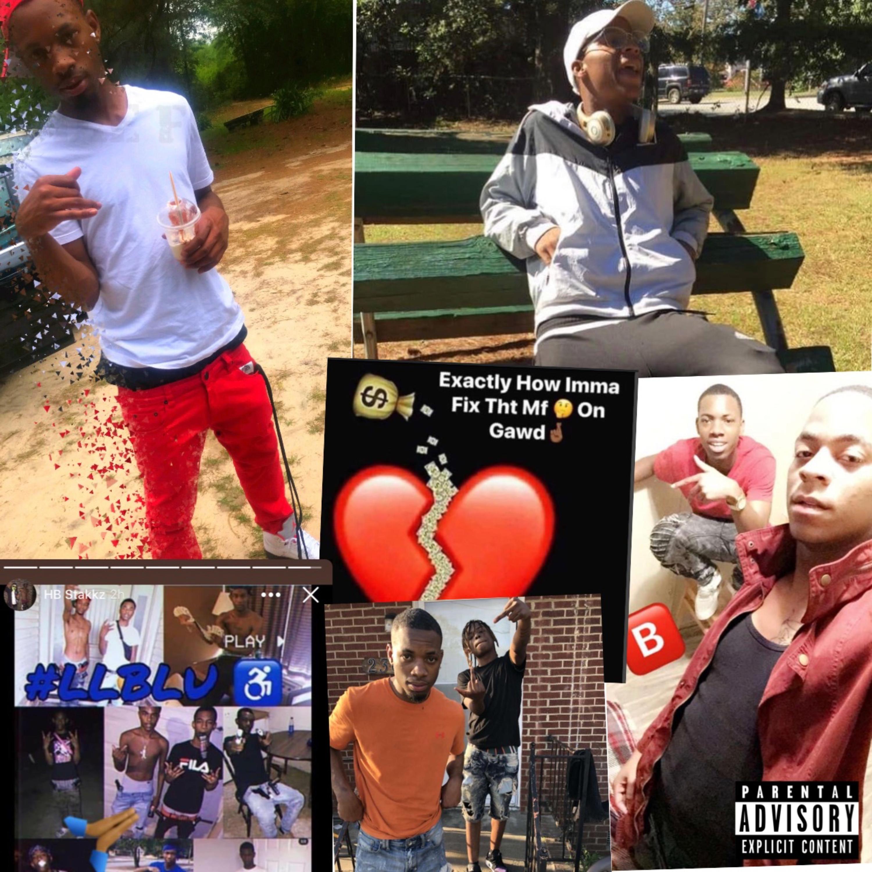 Savage Flow artwork