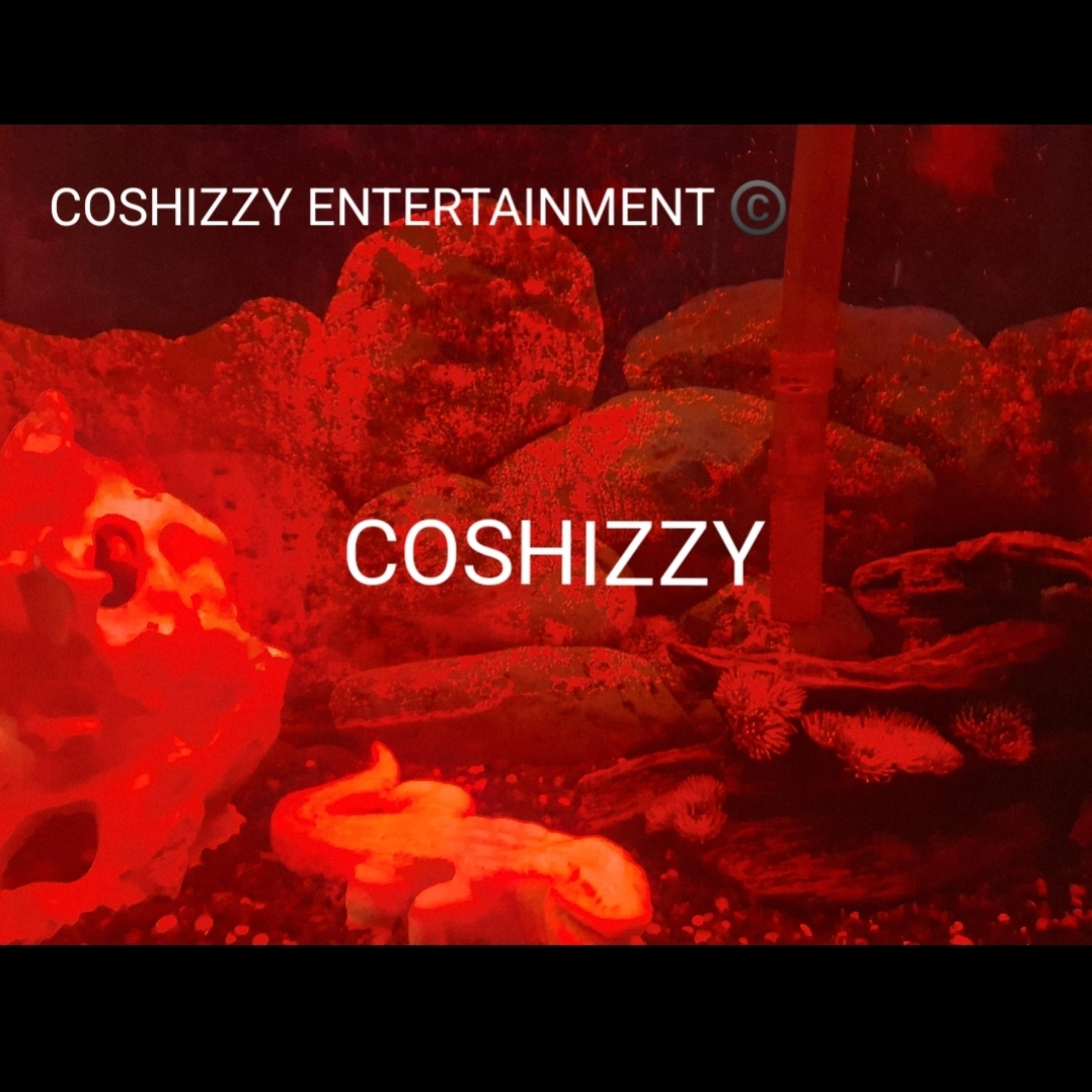 Dancing on it cheesing by coshizzy cover art