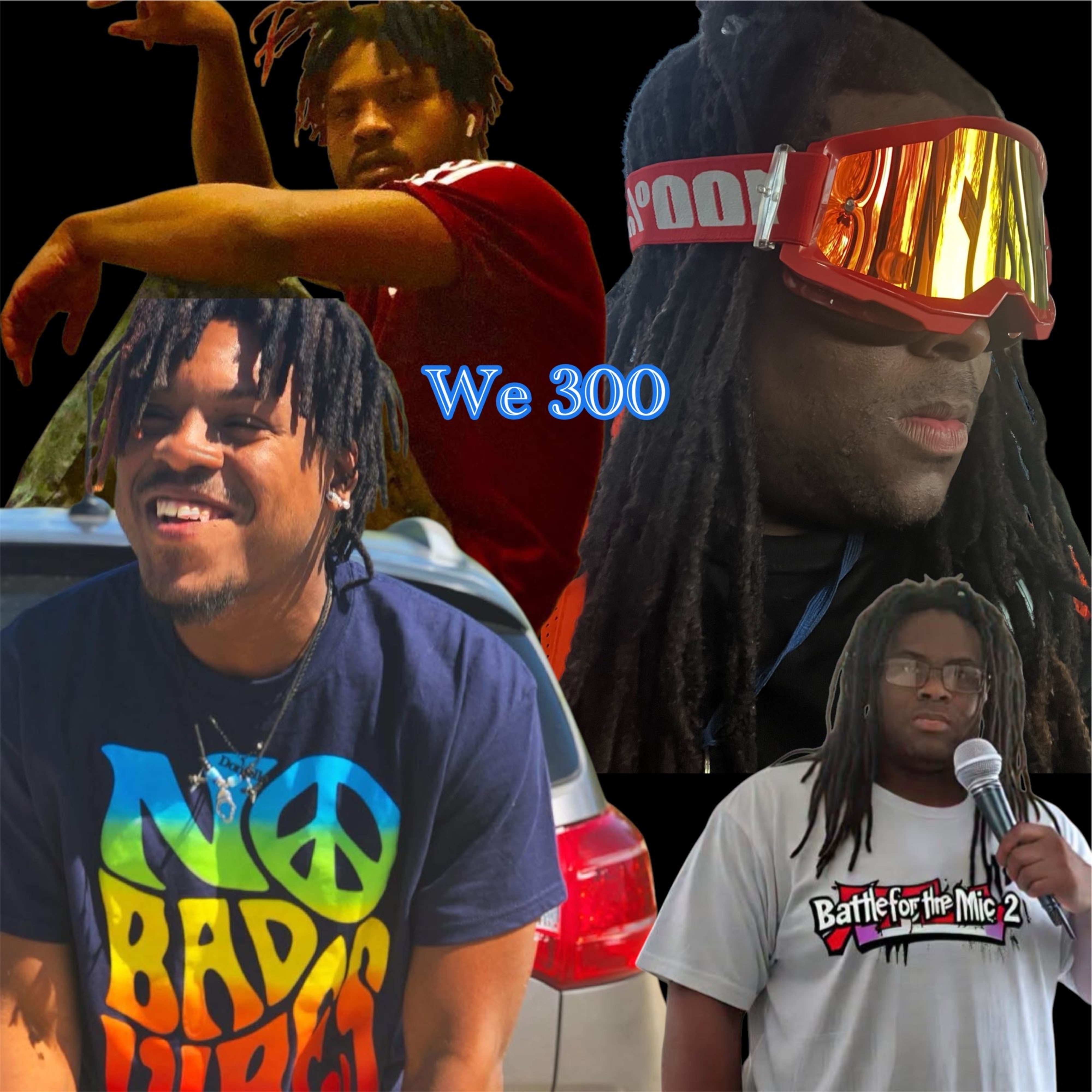 WE 300 artwork