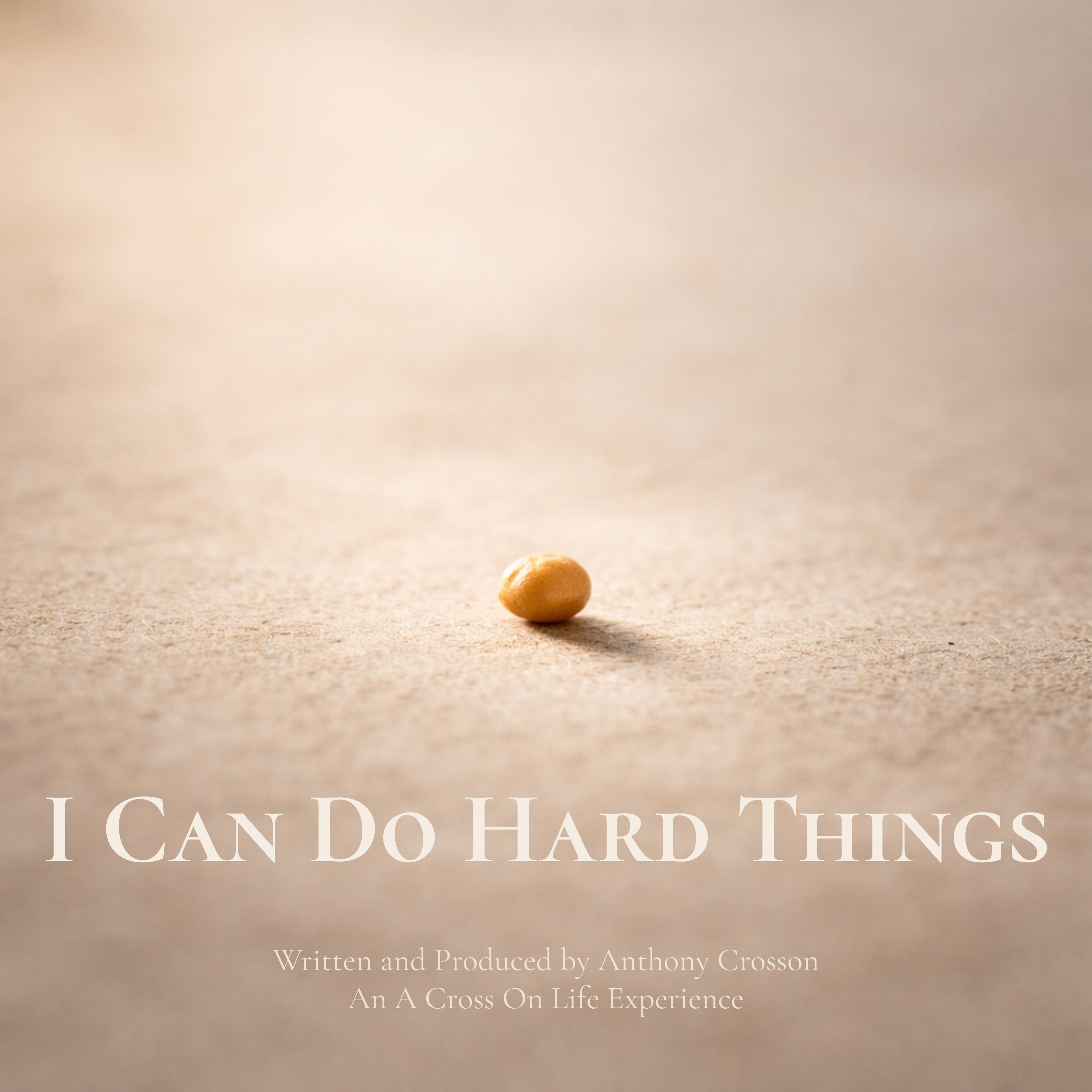 I Can Do  Hard Things artwork