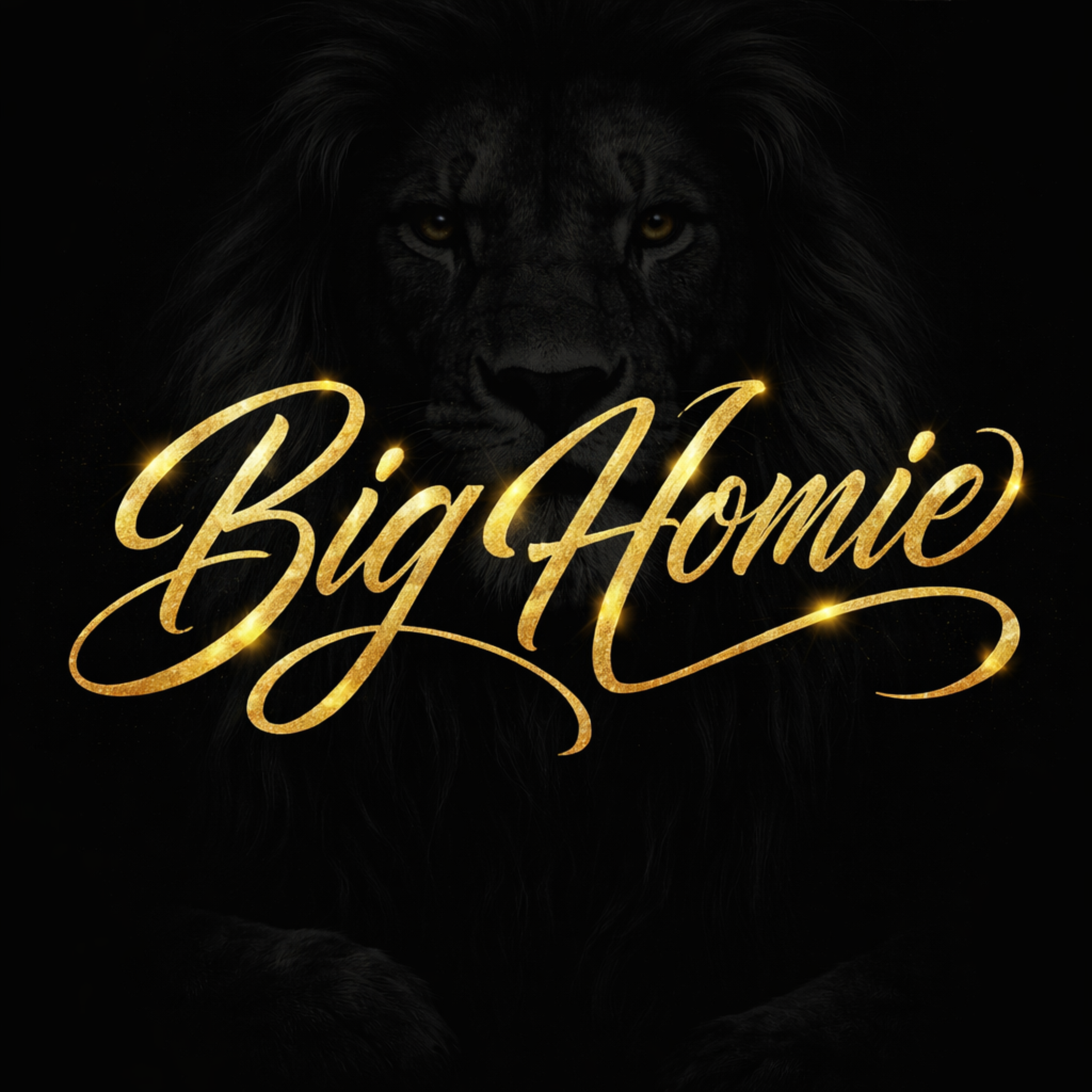 BIG.HOMIE artwork