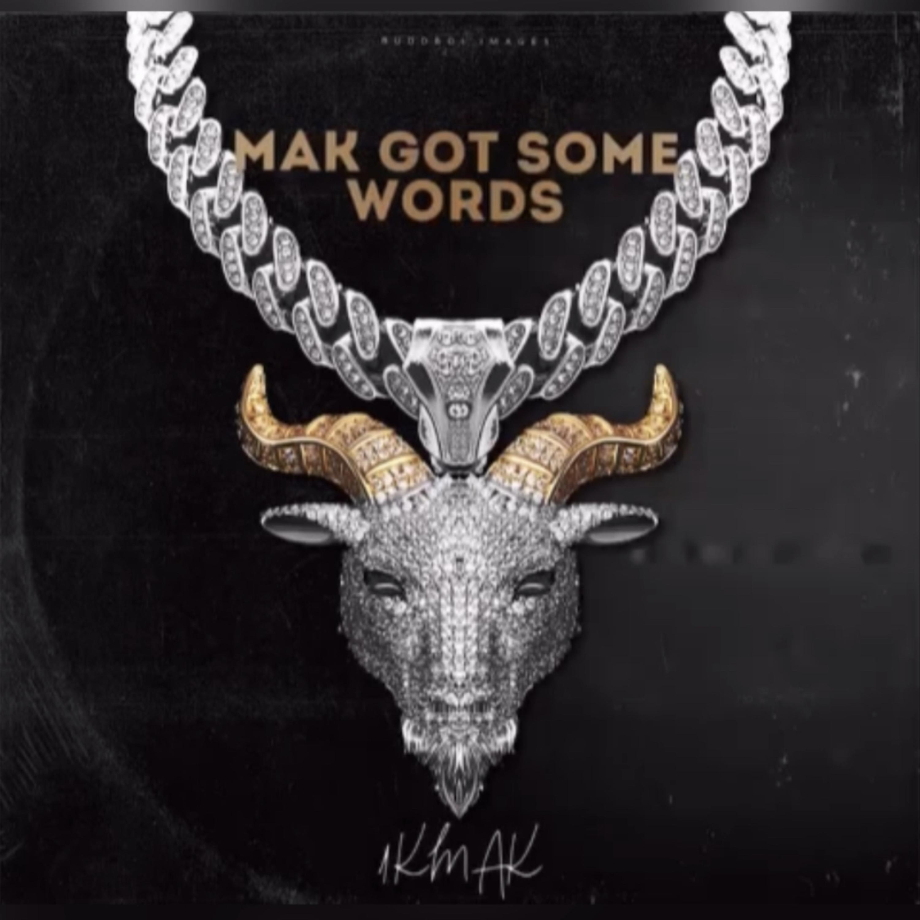 Mak Got Some Words artwork