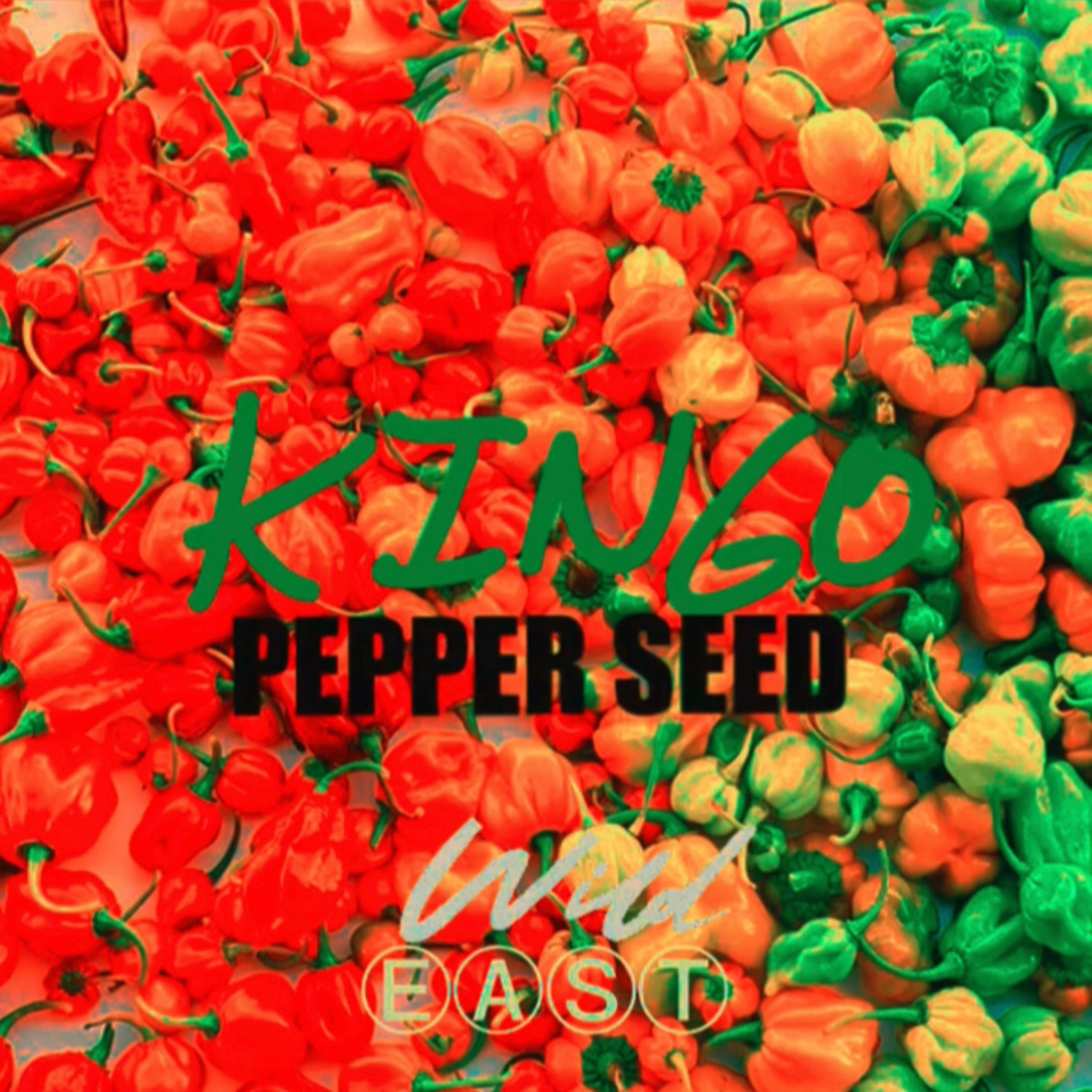 Pepper Seed by Wildeast cover art