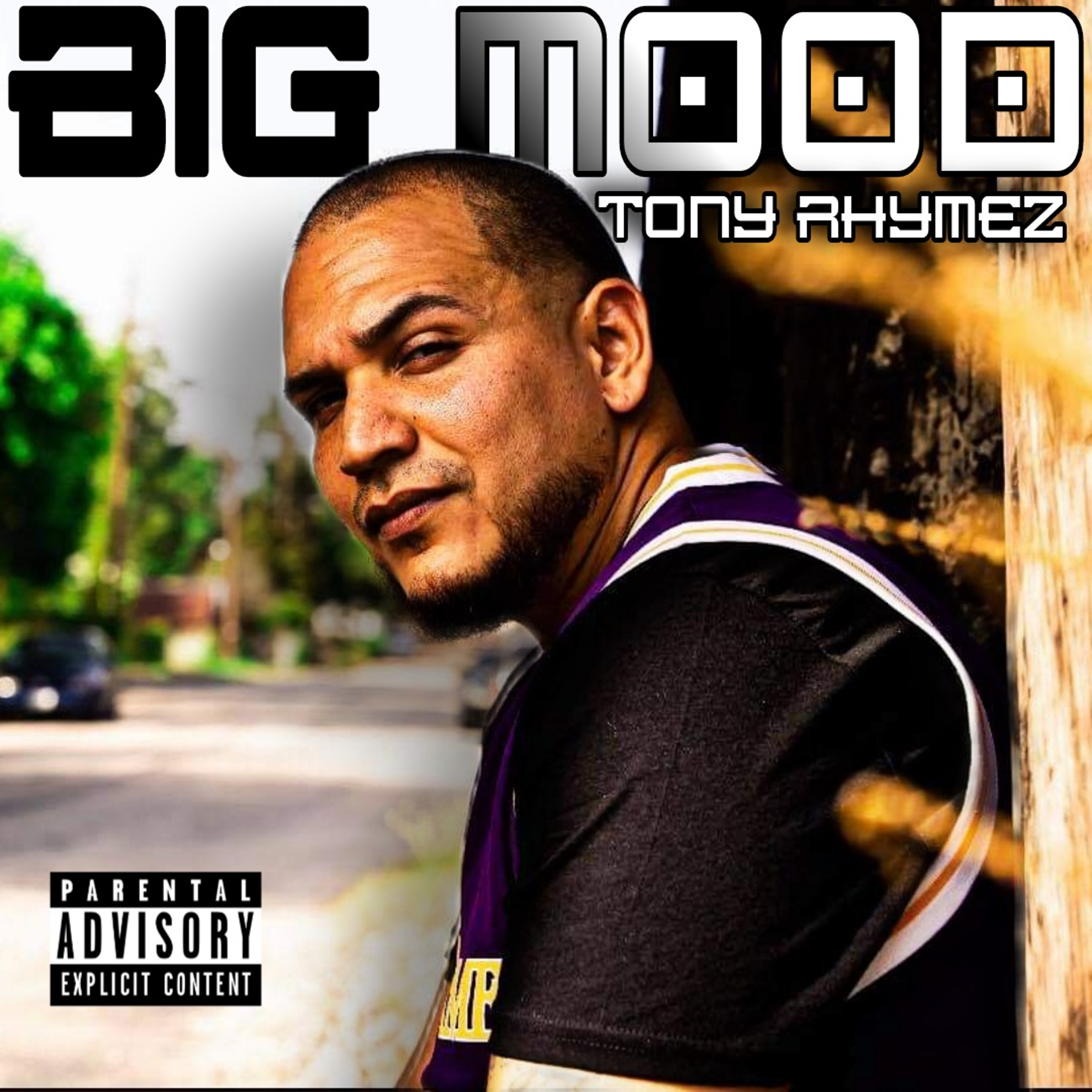 BIG MOOD artwork