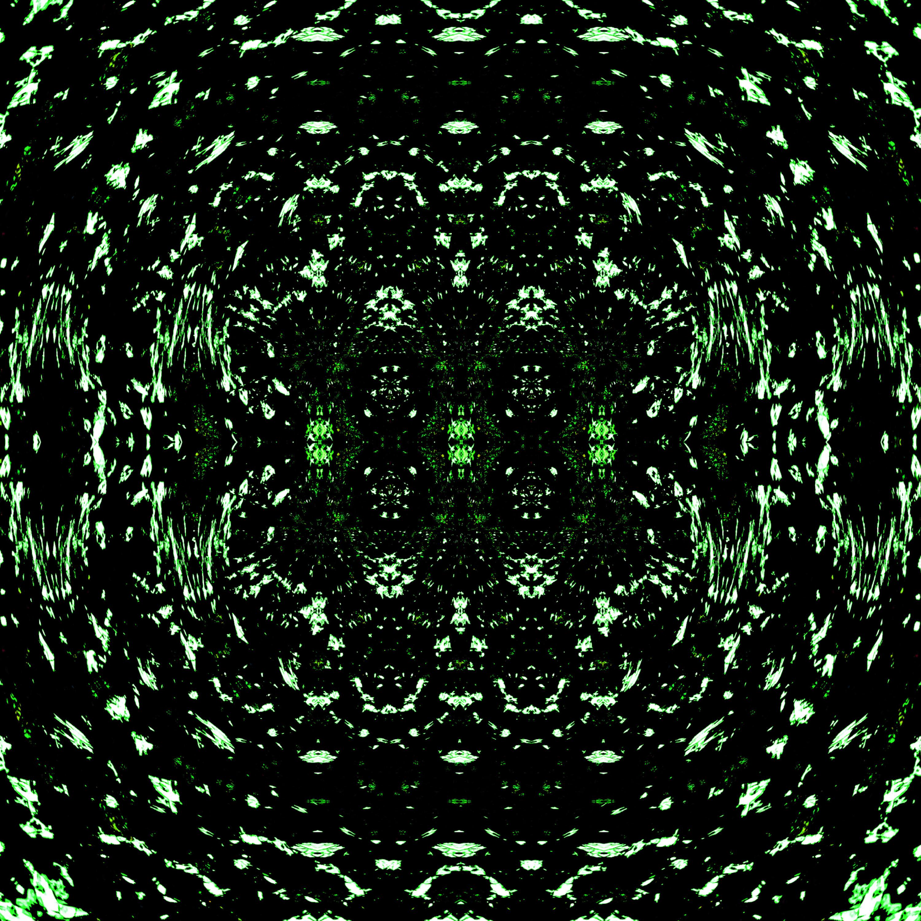 CULO CULO PUNTA OWNER artwork