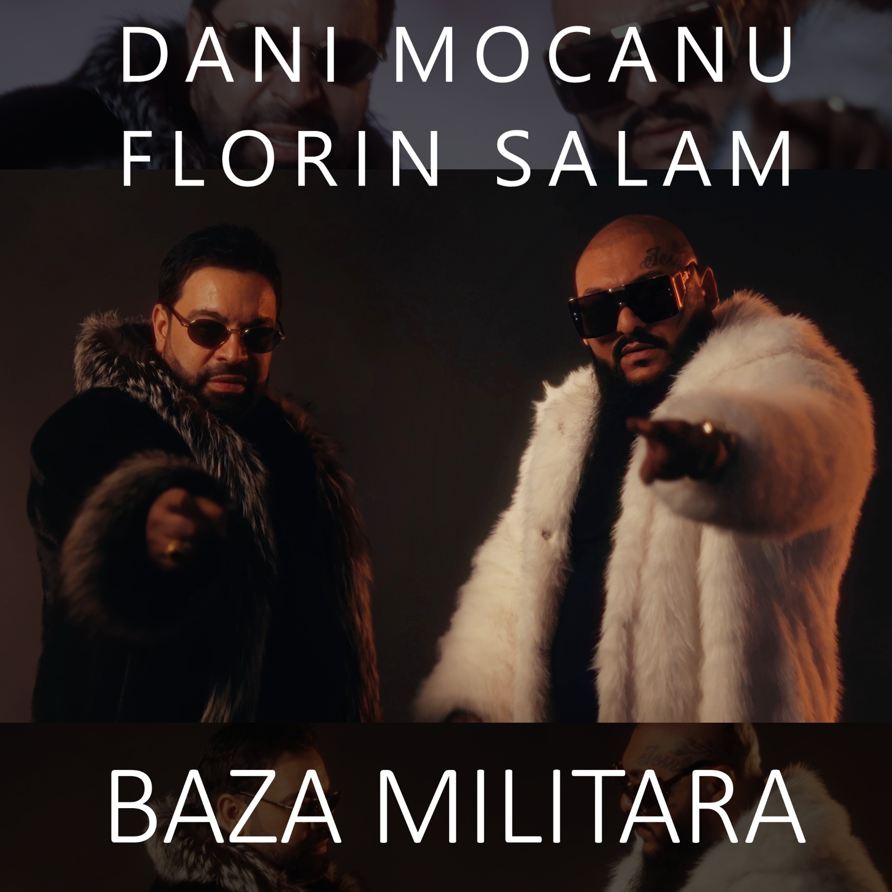 Baza militara artwork