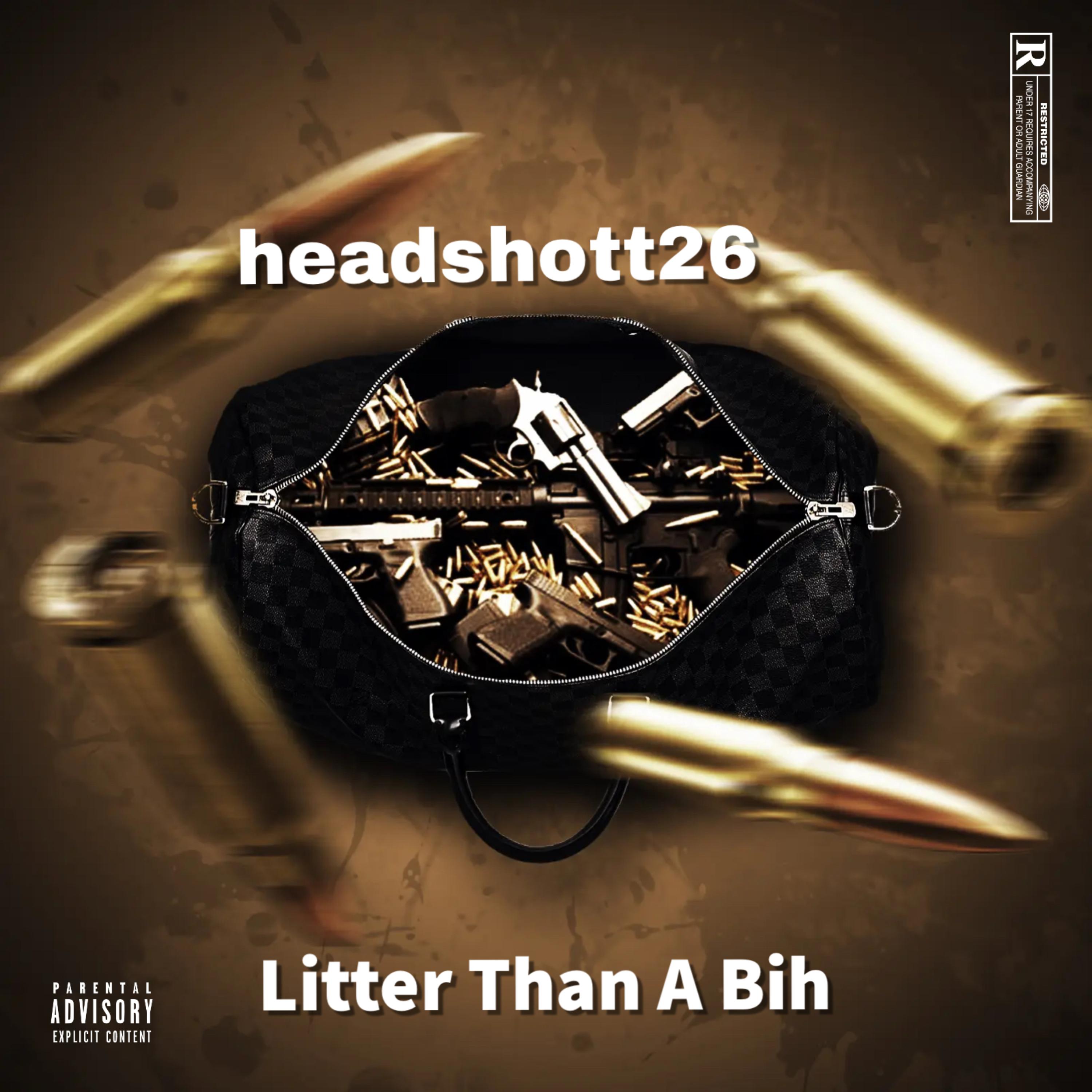 Litter Than A Bih artwork