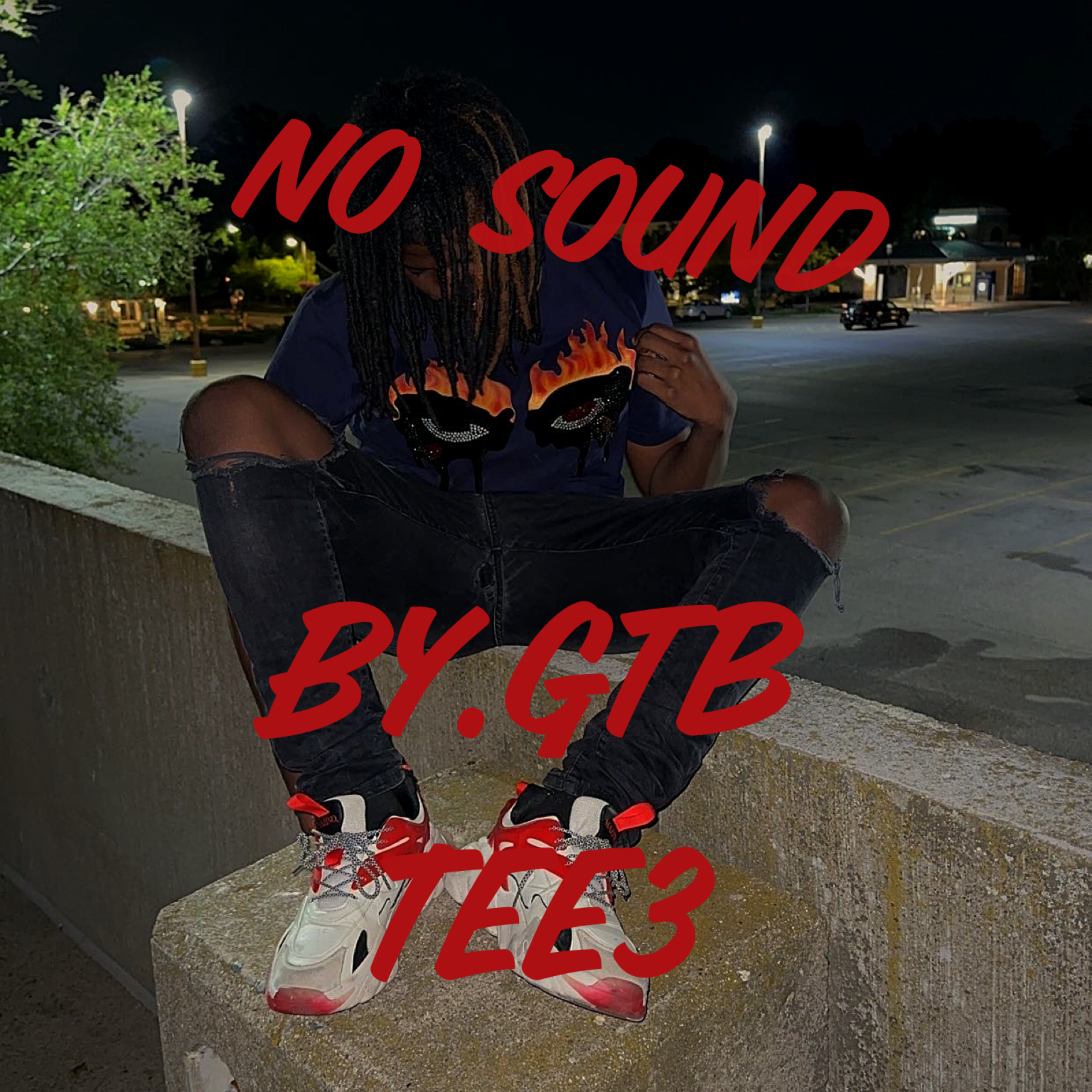 No Sound artwork