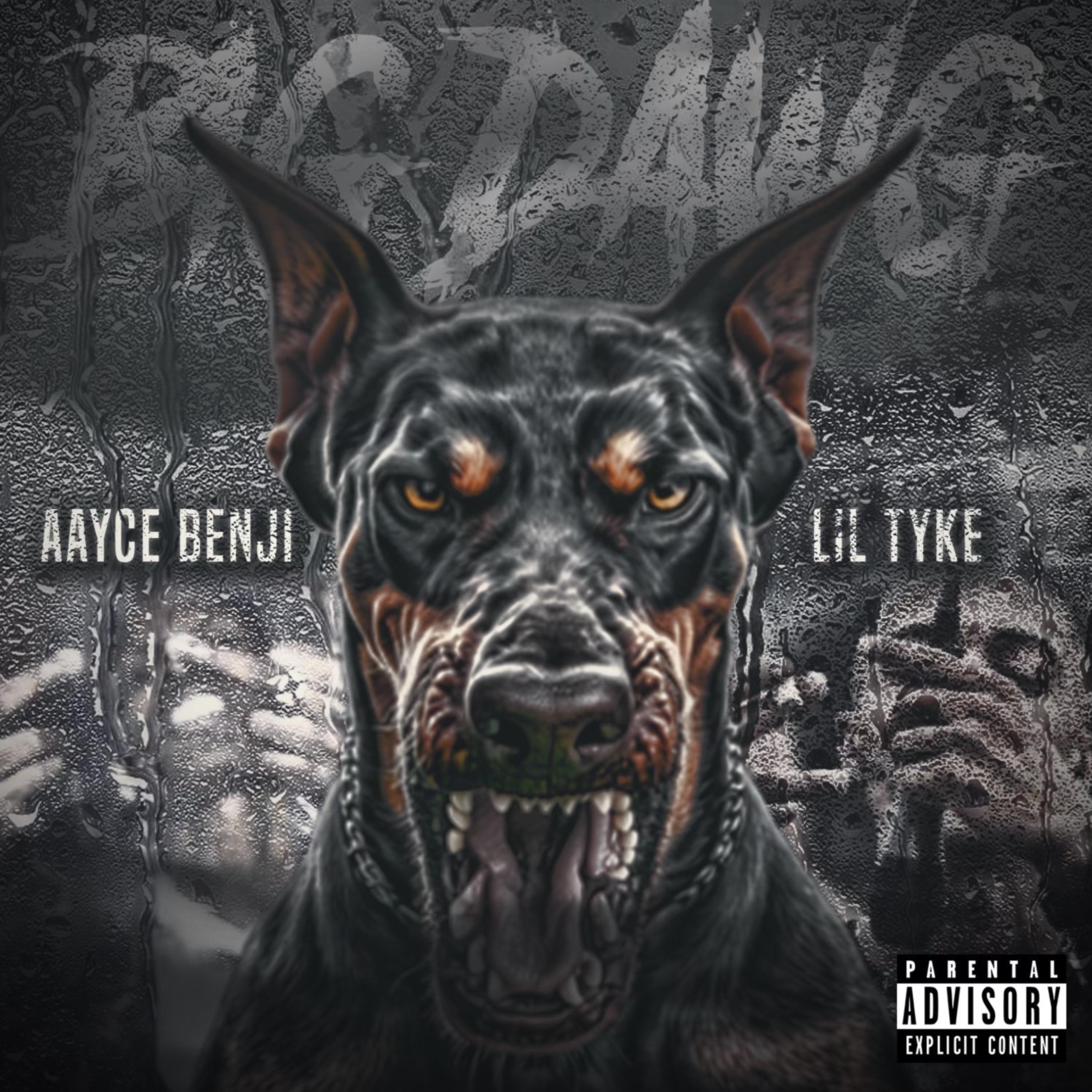 Big Dawg by Lil Tyke cover art
