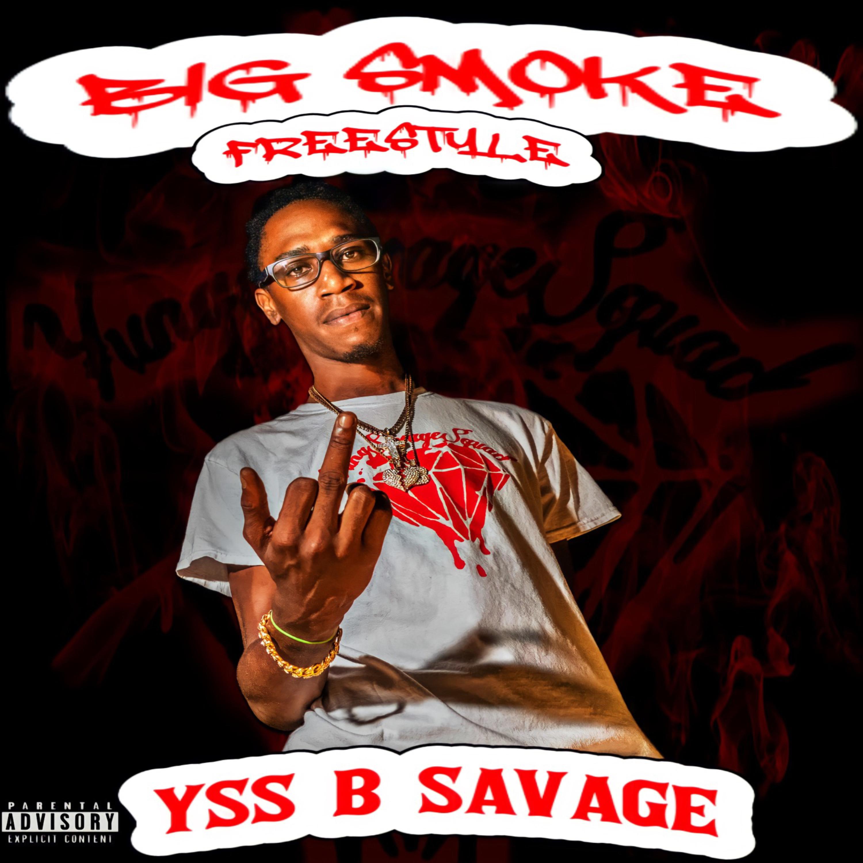 Big Smoke Freestyle artwork