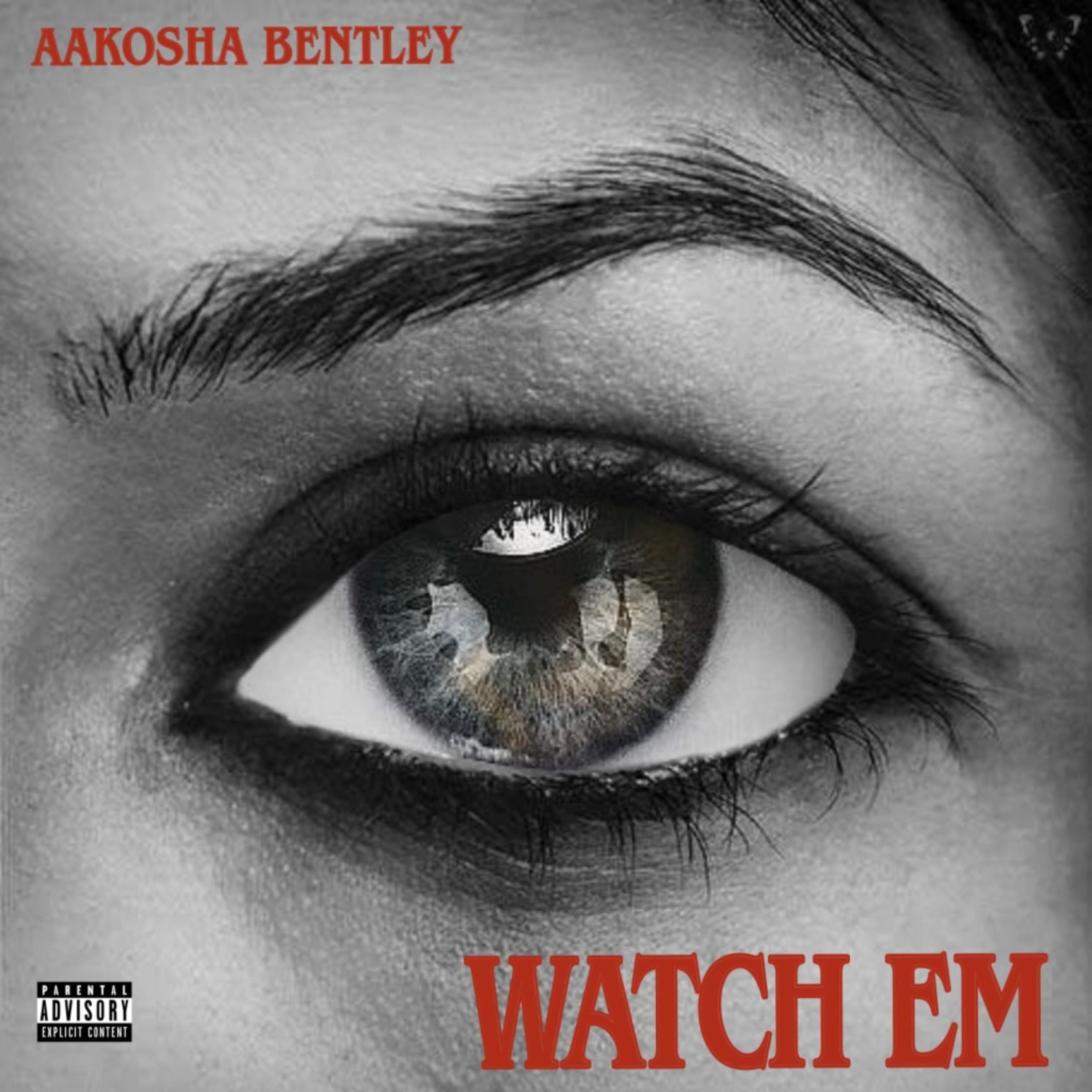 Watch Em artwork