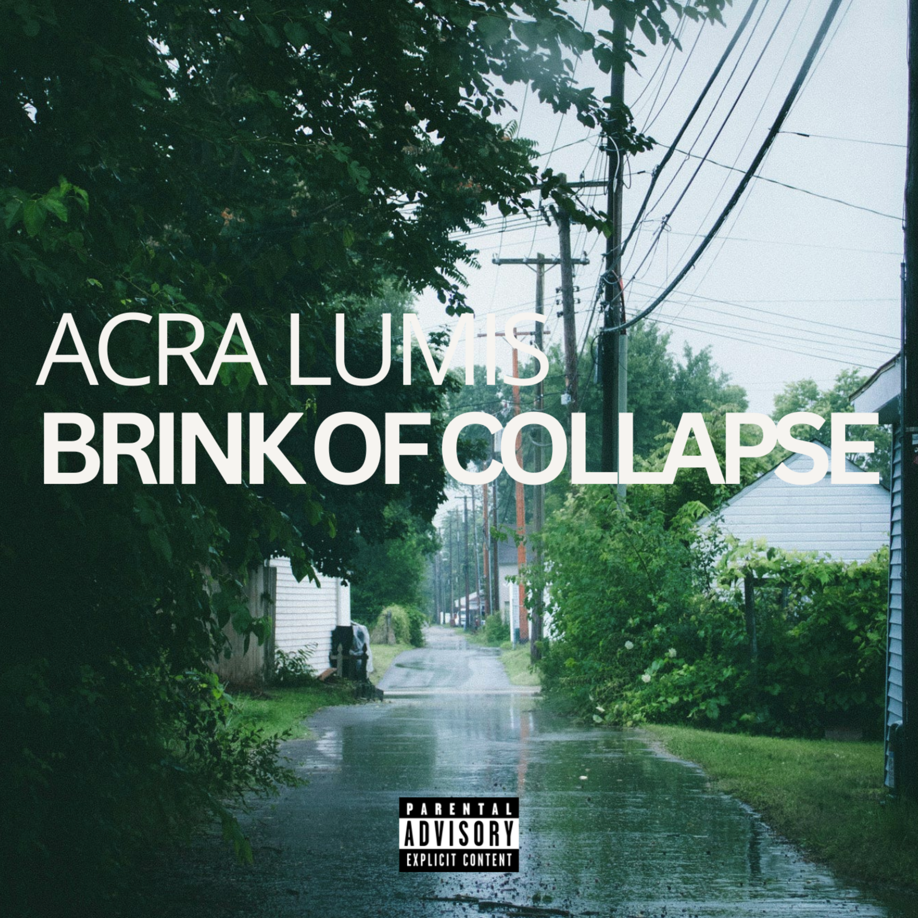 Brink of Collapse artwork