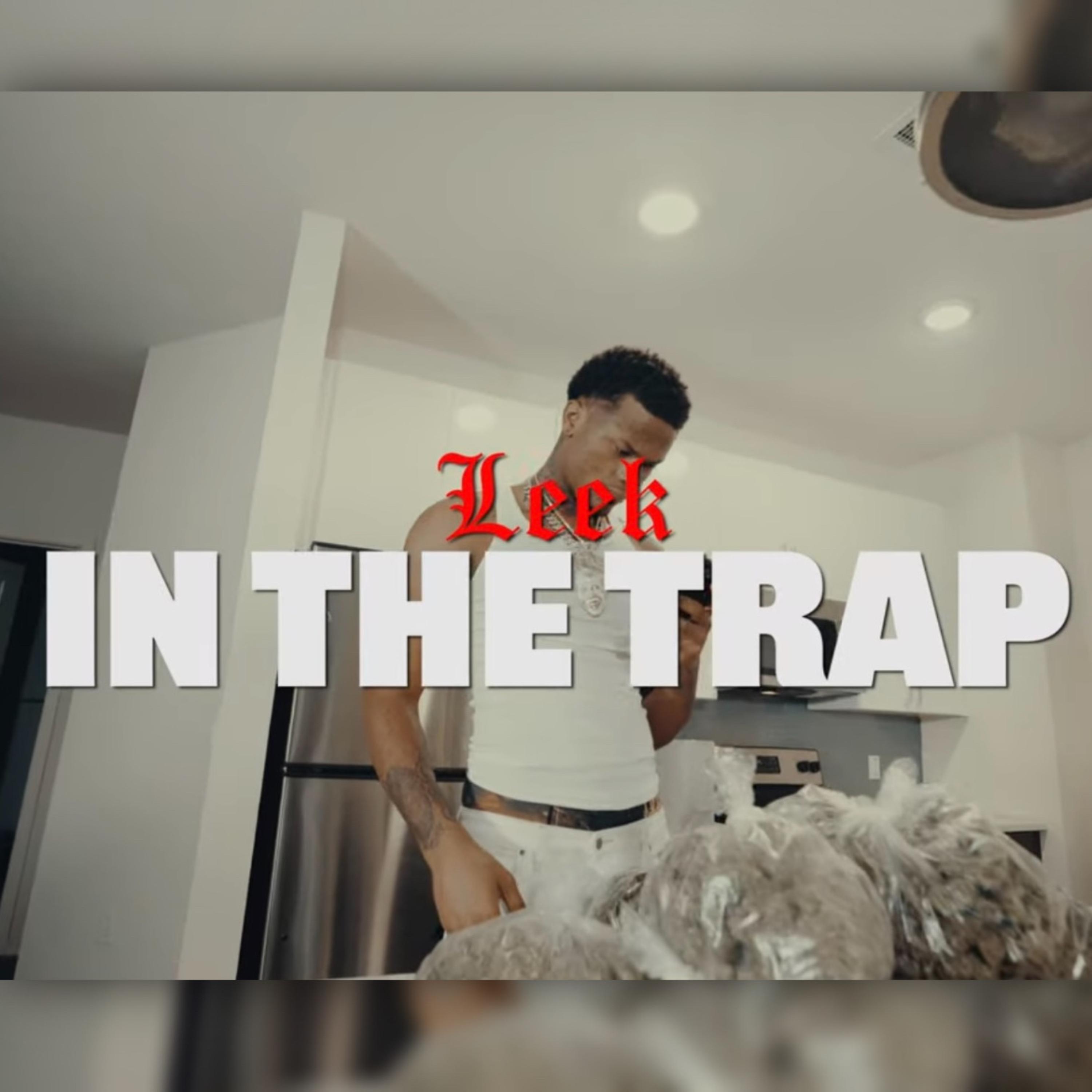 In The Trap artwork