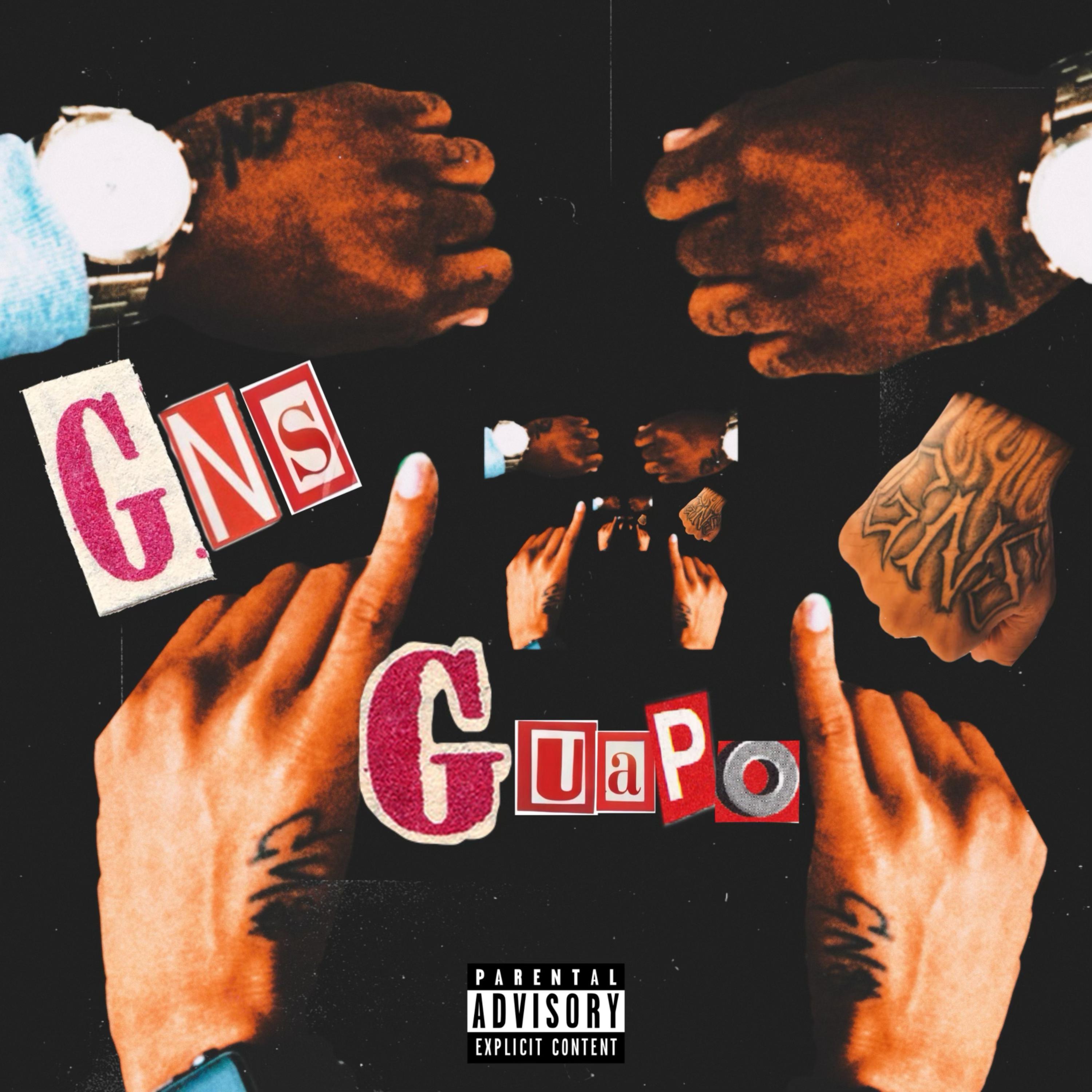 G.N.S artwork