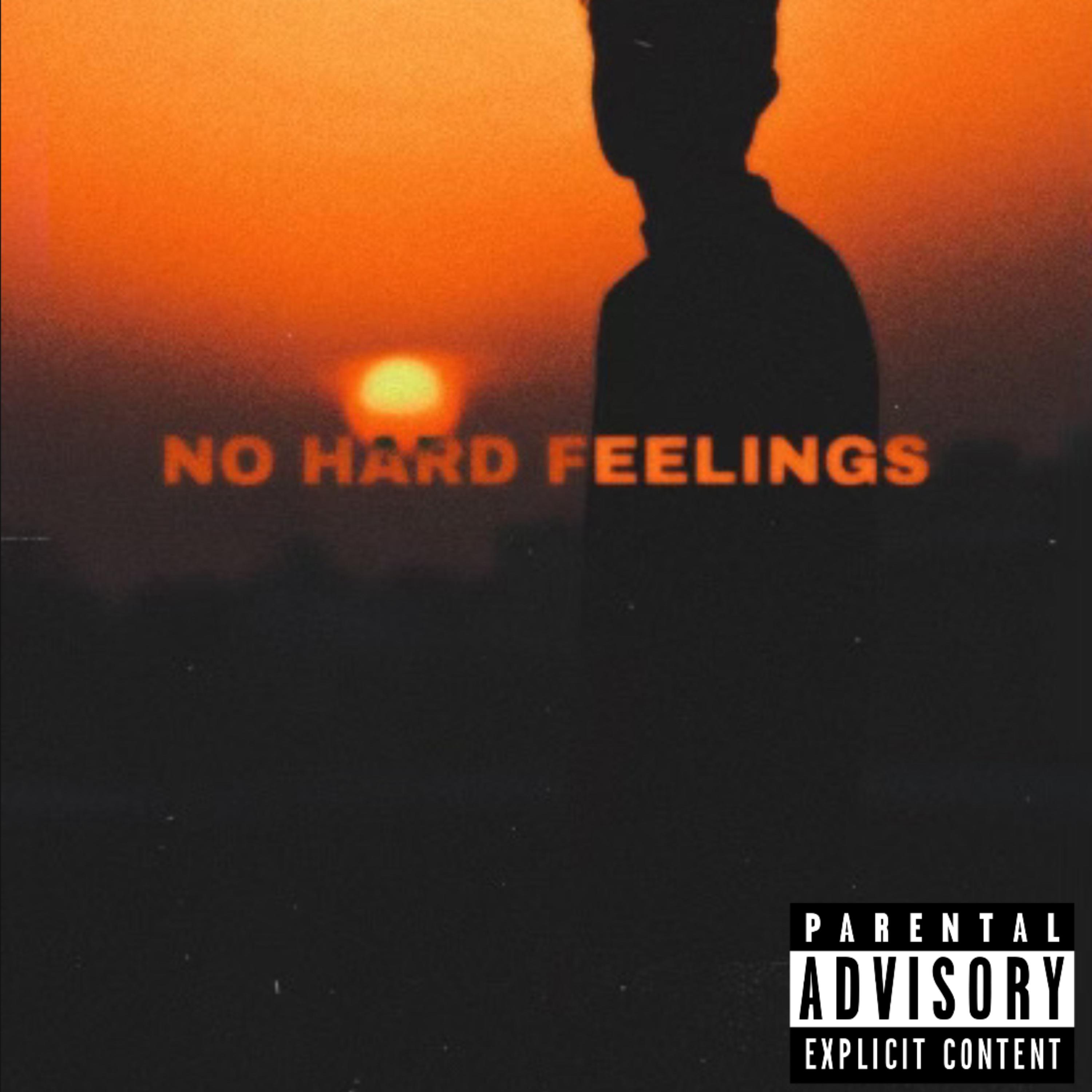 No Hard Feelings artwork