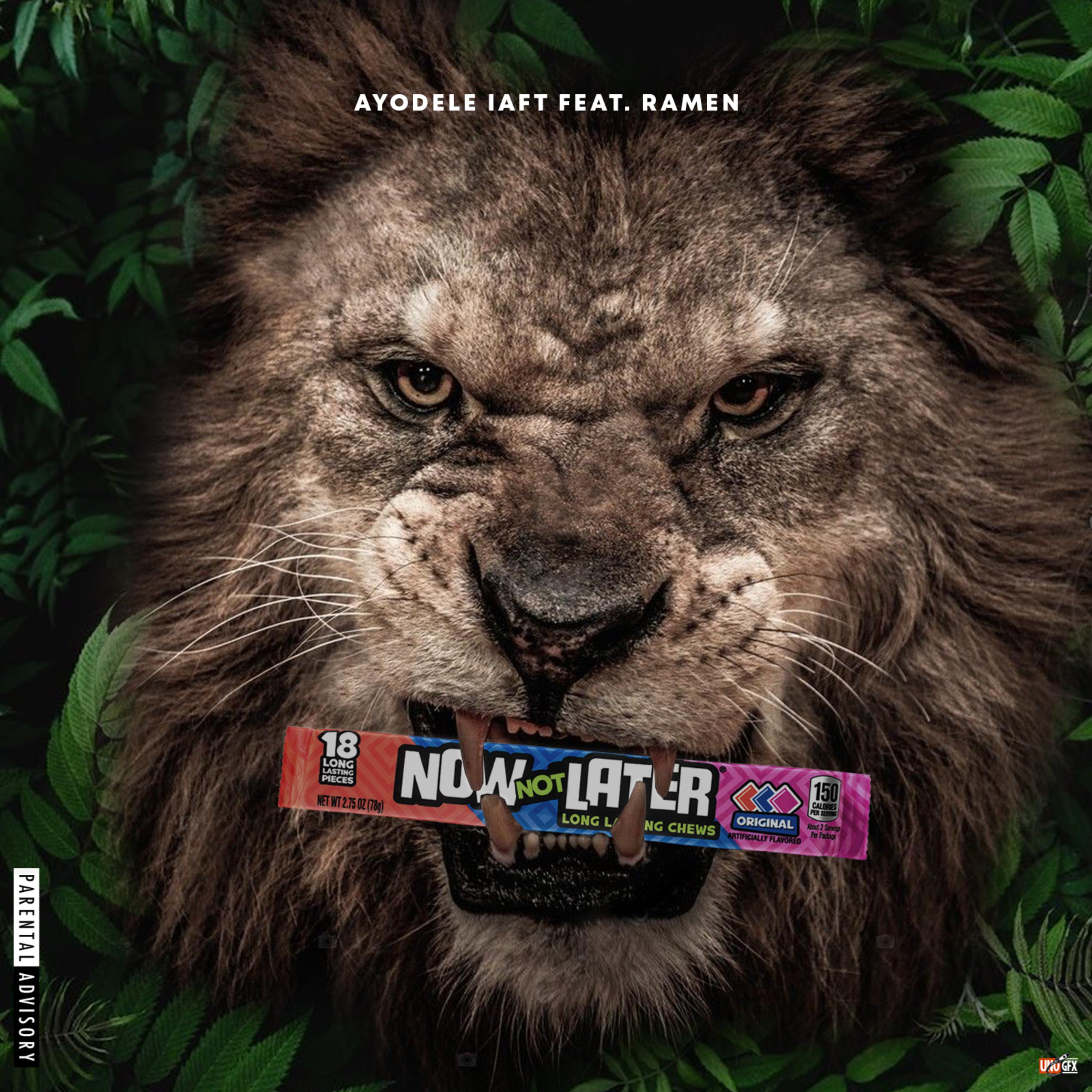 Now Not Later artwork