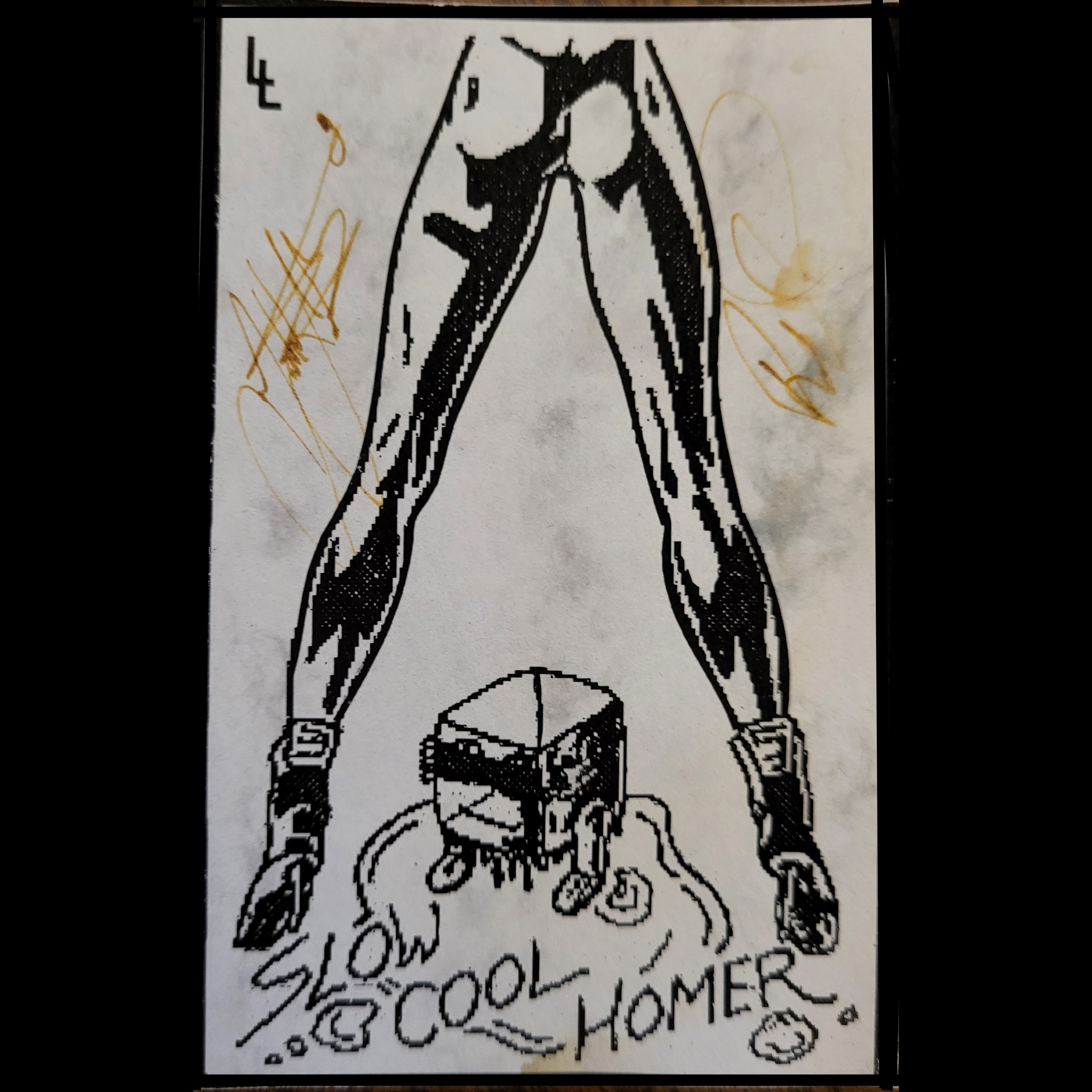 Slow Cool Homer artwork