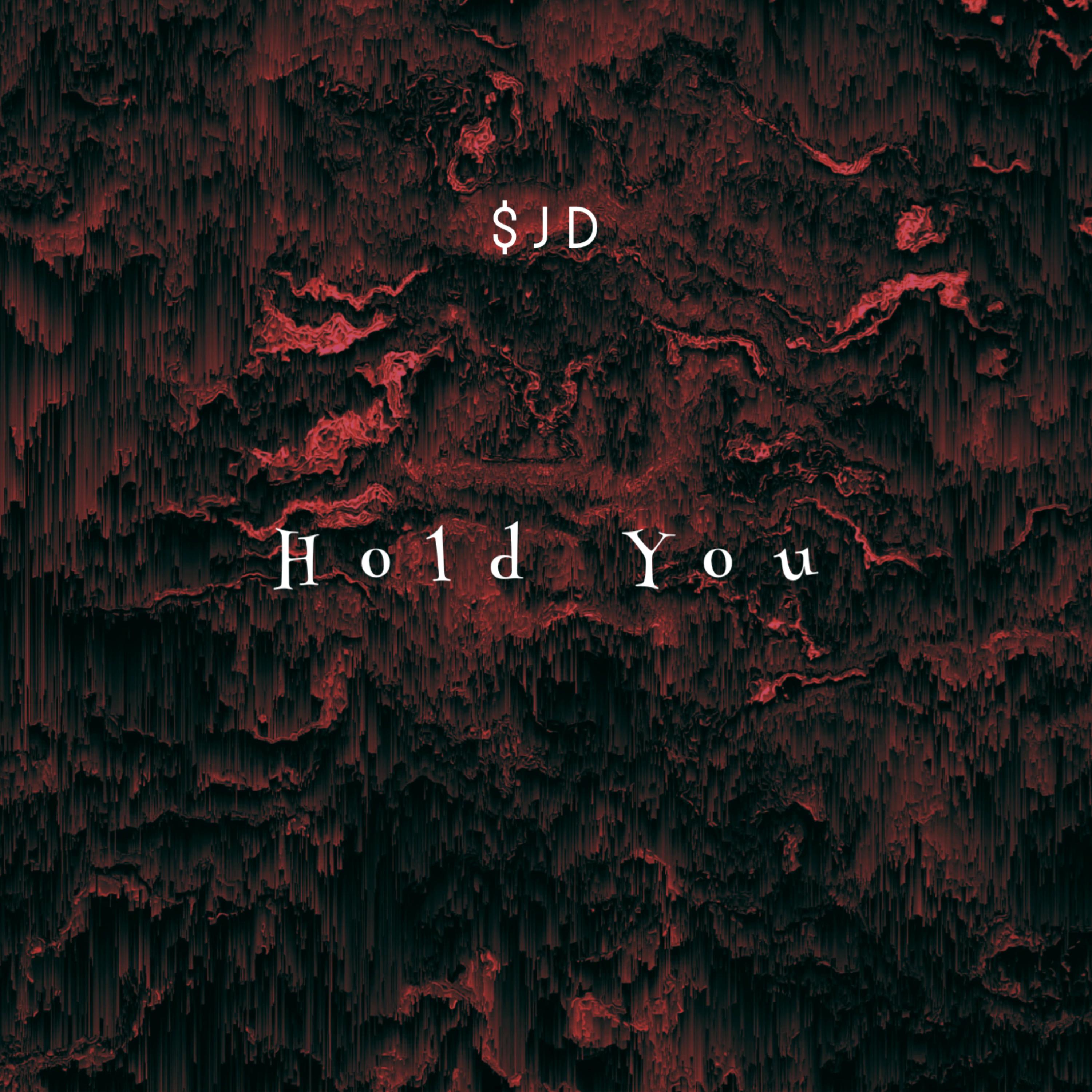 Hold You by $JD cover art