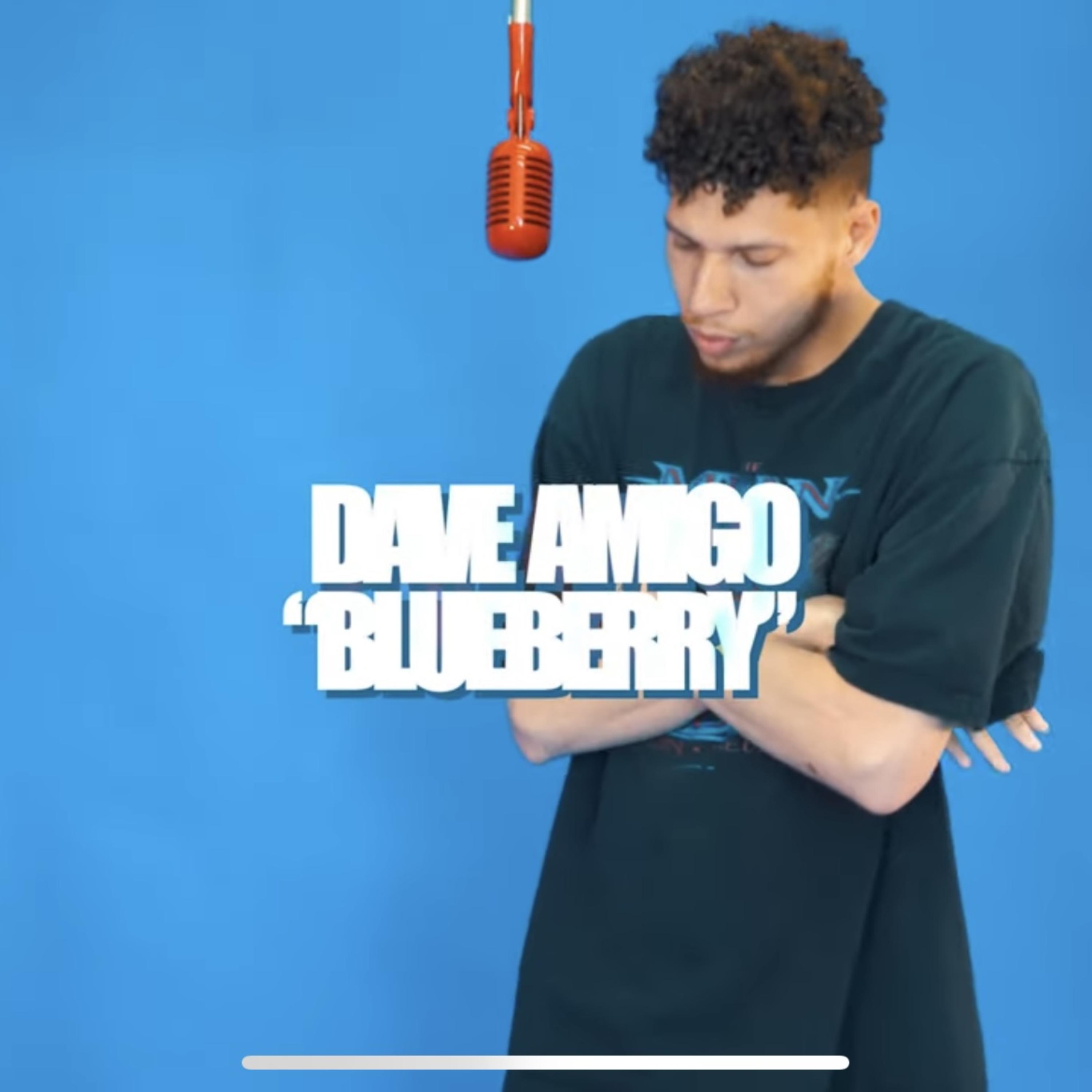 Blueberry artwork