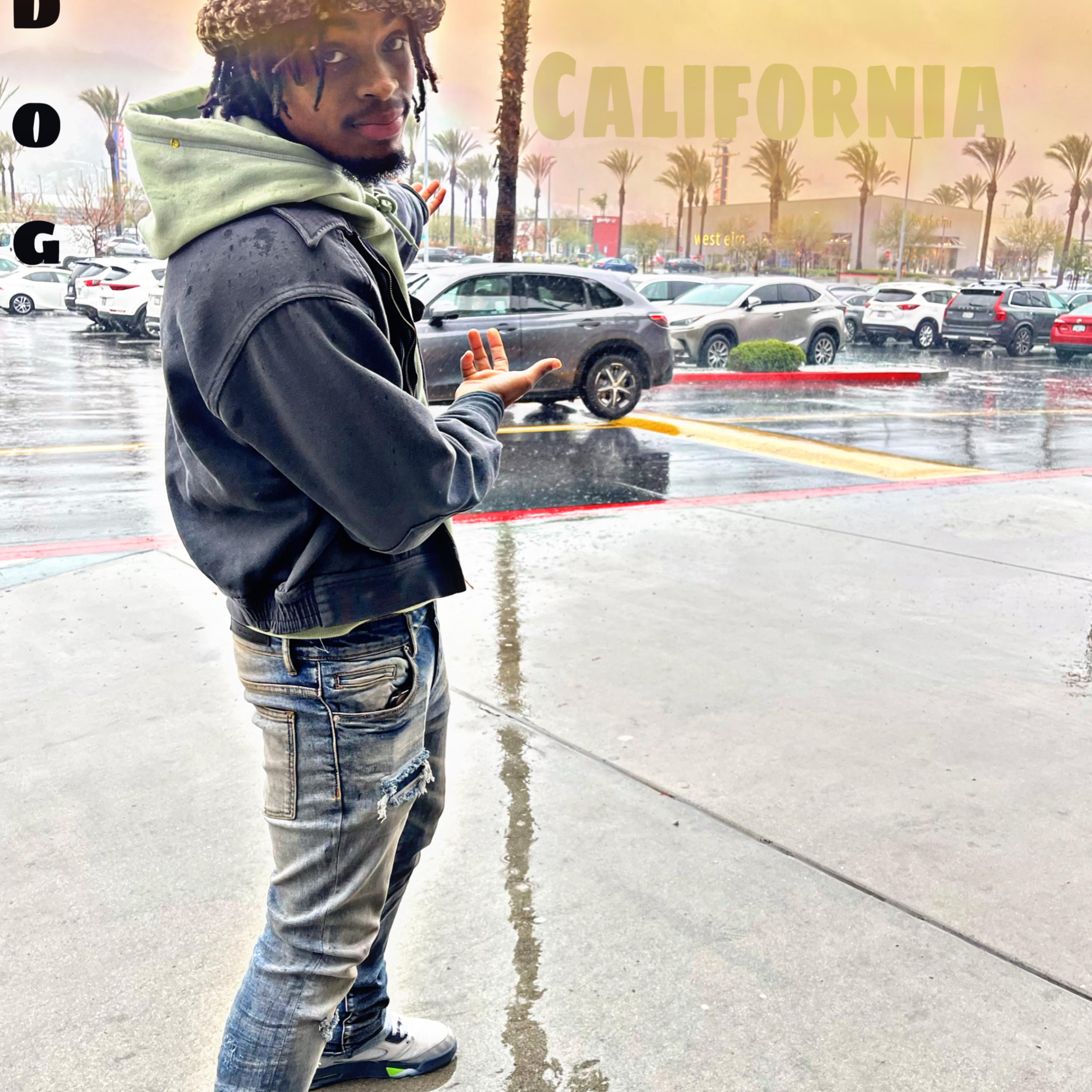 California artwork