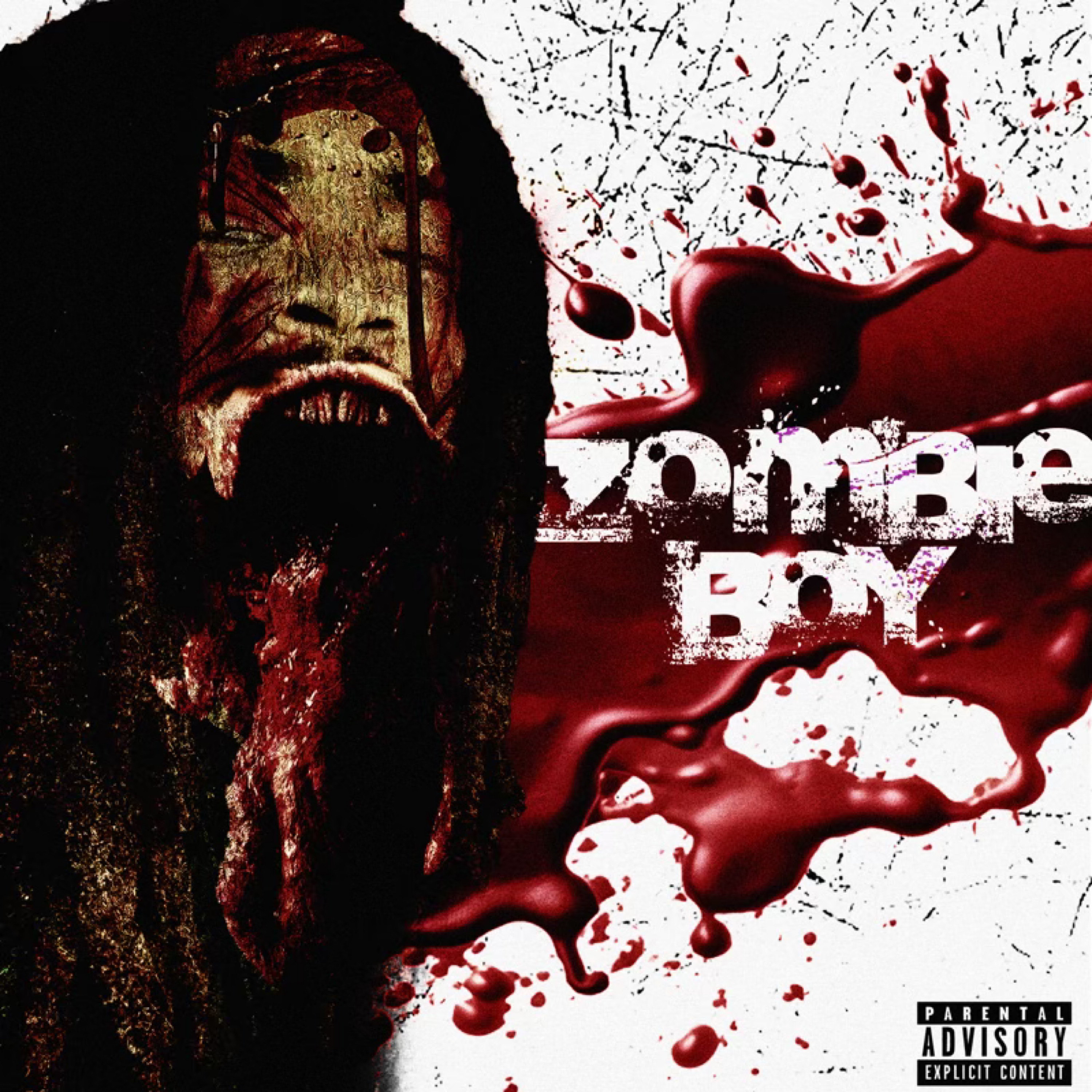 Zombie Boy by Liffa cover art